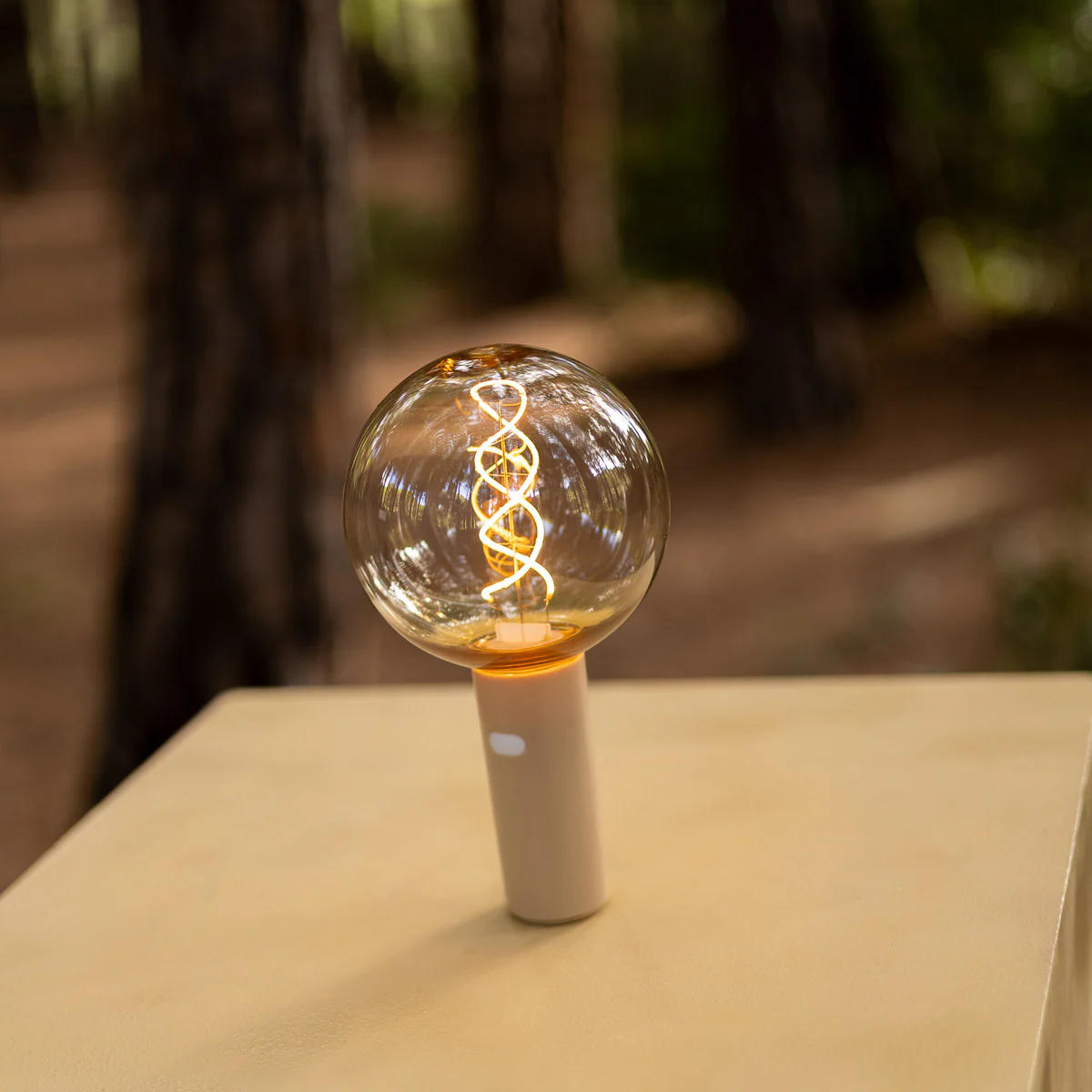 EDY G125 portable sans fil ampoule vintage - Image 9