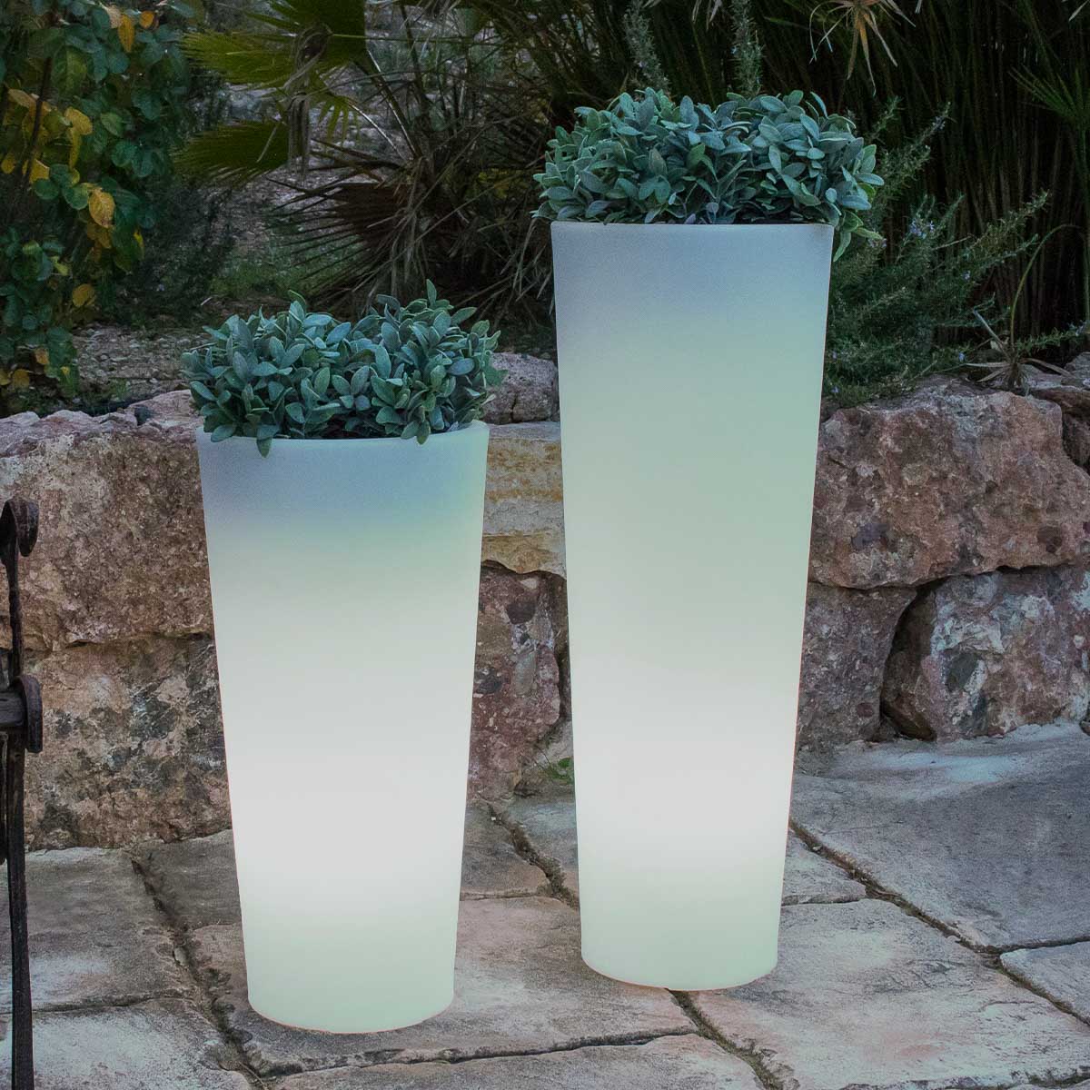 POT DE FLEURS HAUT FICUS 60 AVEC LUMIÈRE