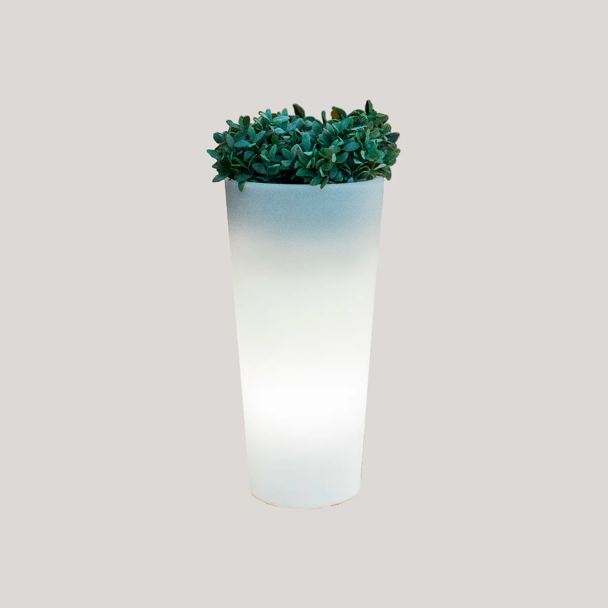POT DE FLEURS HAUT FICUS 60 AVEC LUMIÈRE - Image 2