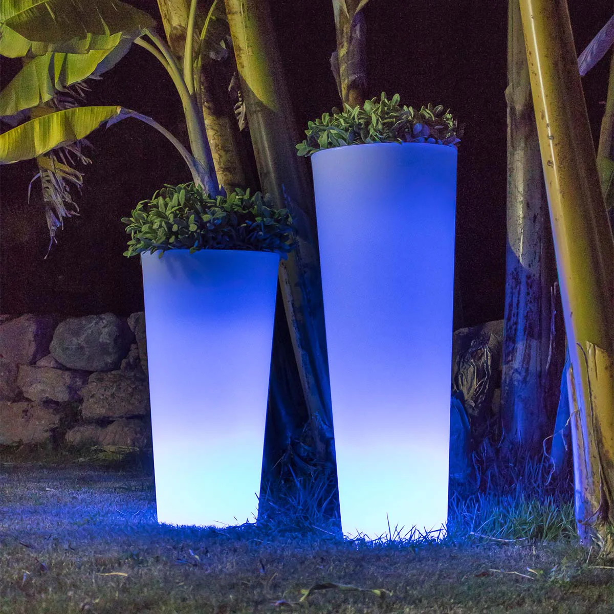 POT DE FLEURS HAUT FICUS 60 AVEC LUMIÈRE - Image 4