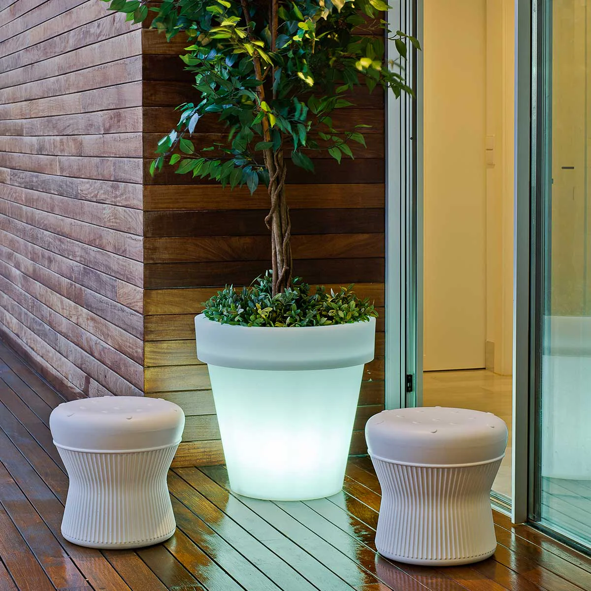 GRAND POT MAGNOLIA 60 AVEC LUMIÈRE