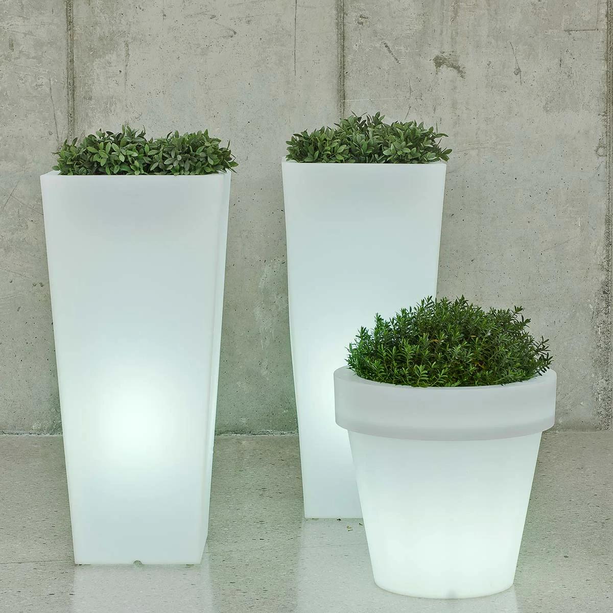 GRAND POT MAGNOLIA 60 AVEC LUMIÈRE - Image 2