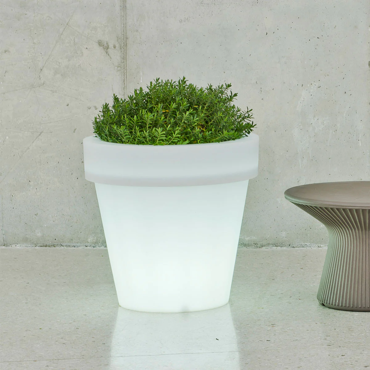 GRAND POT MAGNOLIA 60 AVEC LUMIÈRE - Image 3