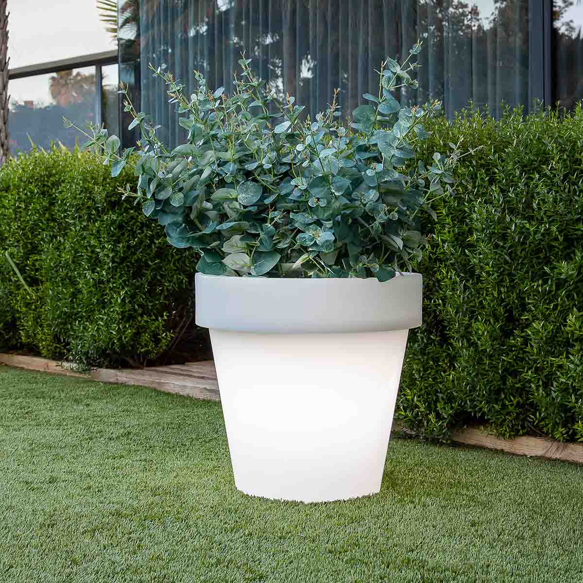 GRAND POT MAGNOLIA 60 AVEC LUMIÈRE - Image 5