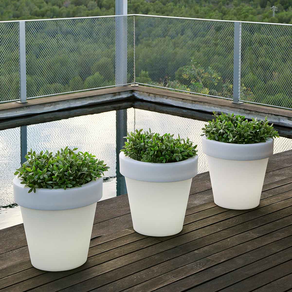 GRAND POT MAGNOLIA 60 AVEC LUMIÈRE - Image 6