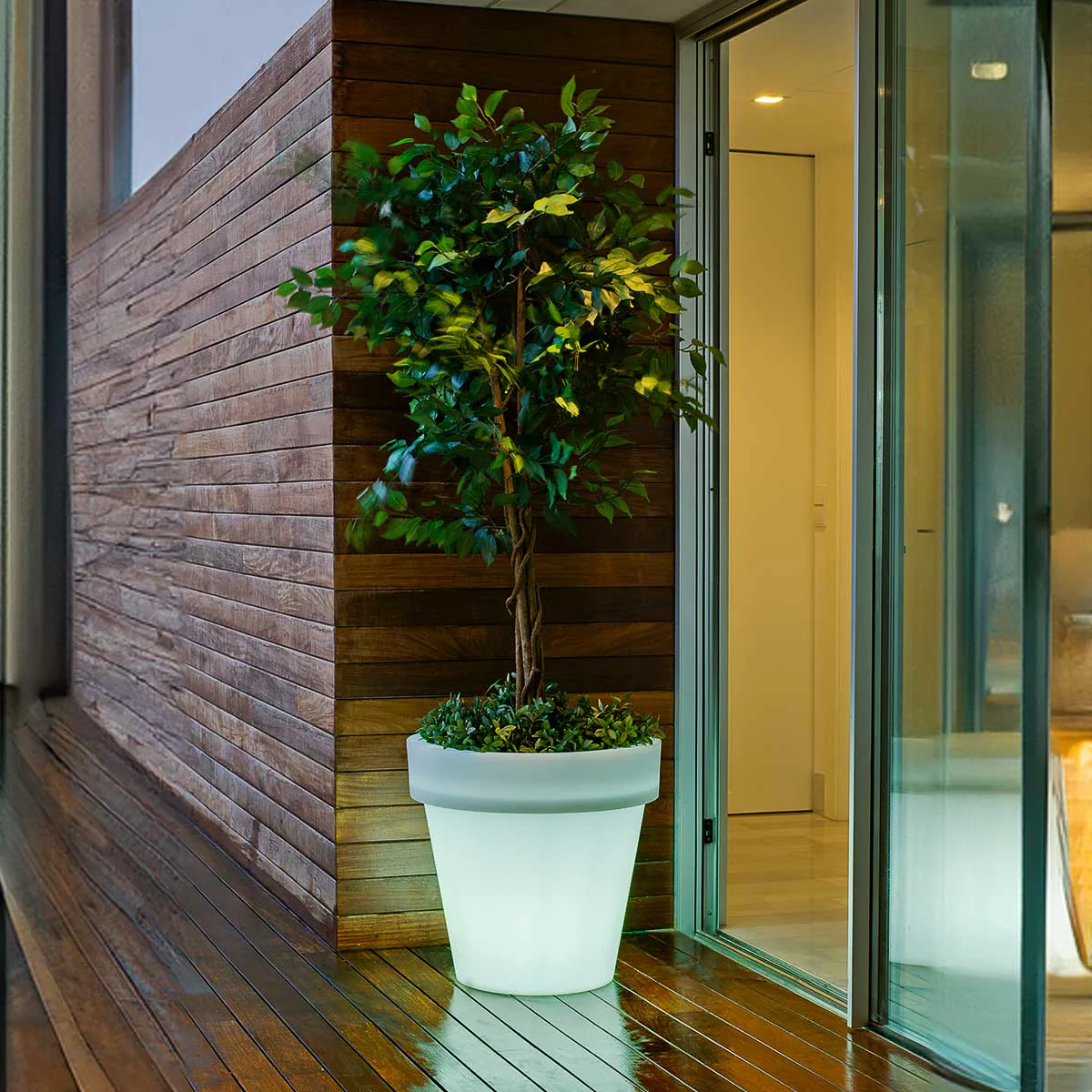 GRAND POT MAGNOLIA 60 AVEC LUMIÈRE - Image 7