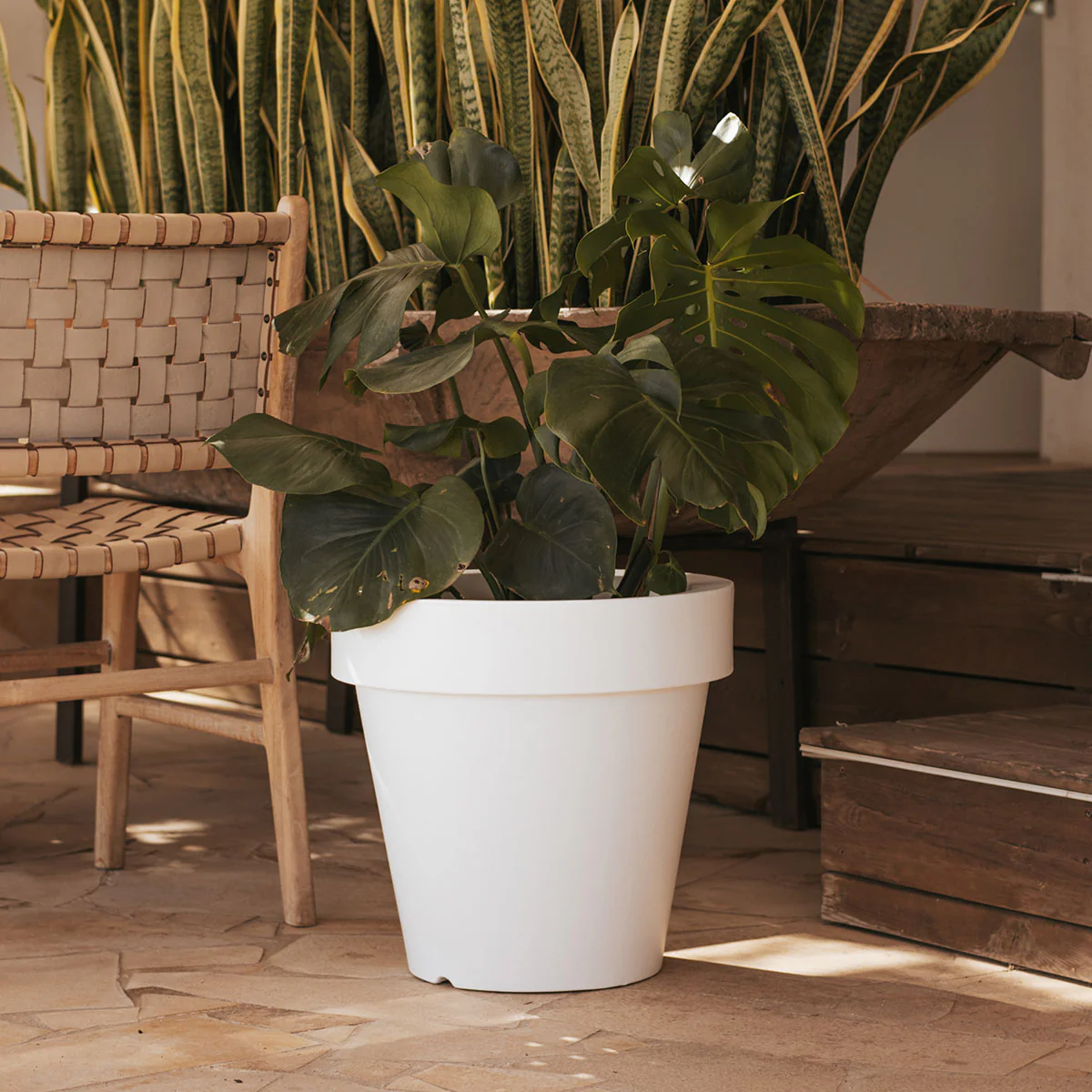 GRAND POT MAGNOLIA 60 - Image 2