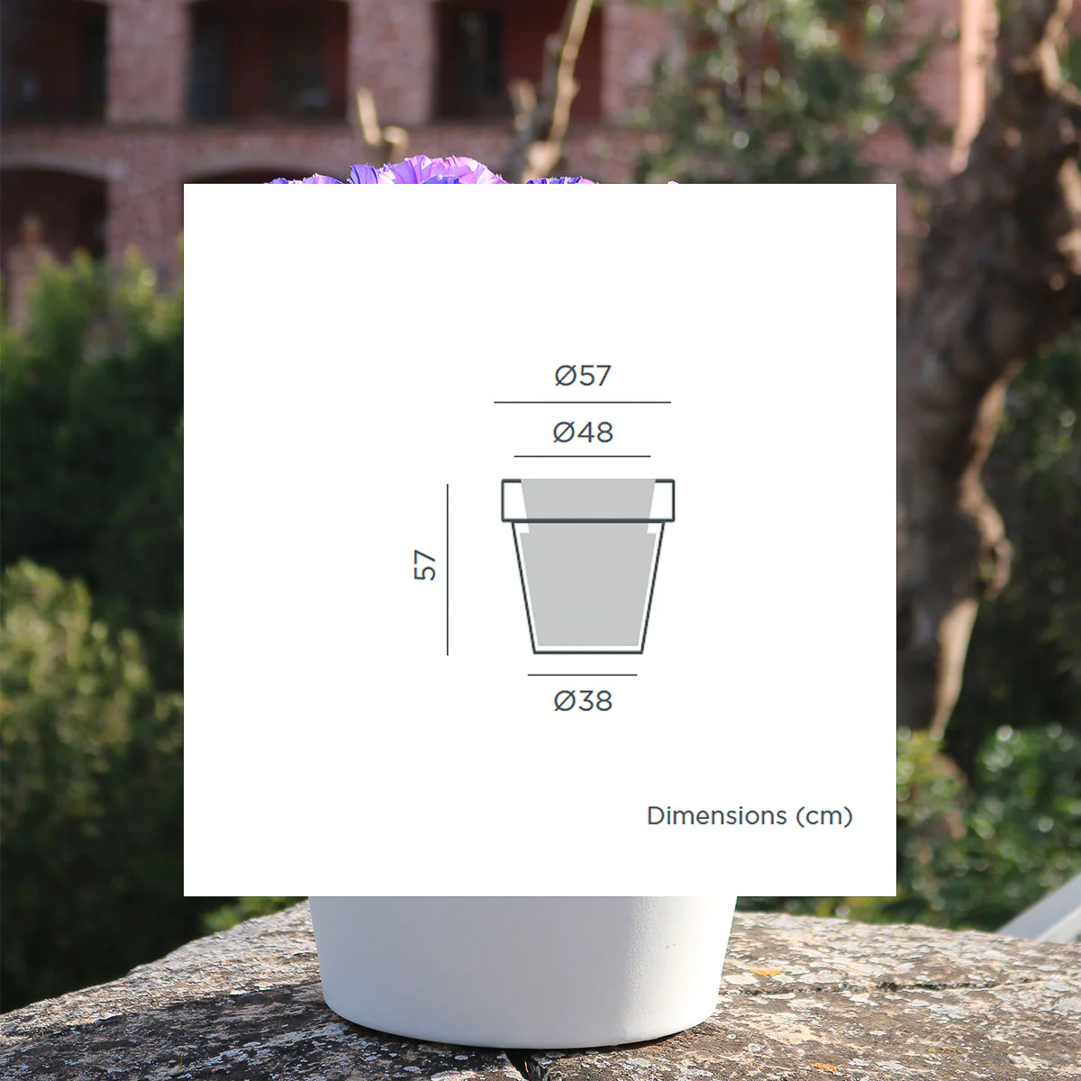 GRAND POT MAGNOLIA 60 - Image 3