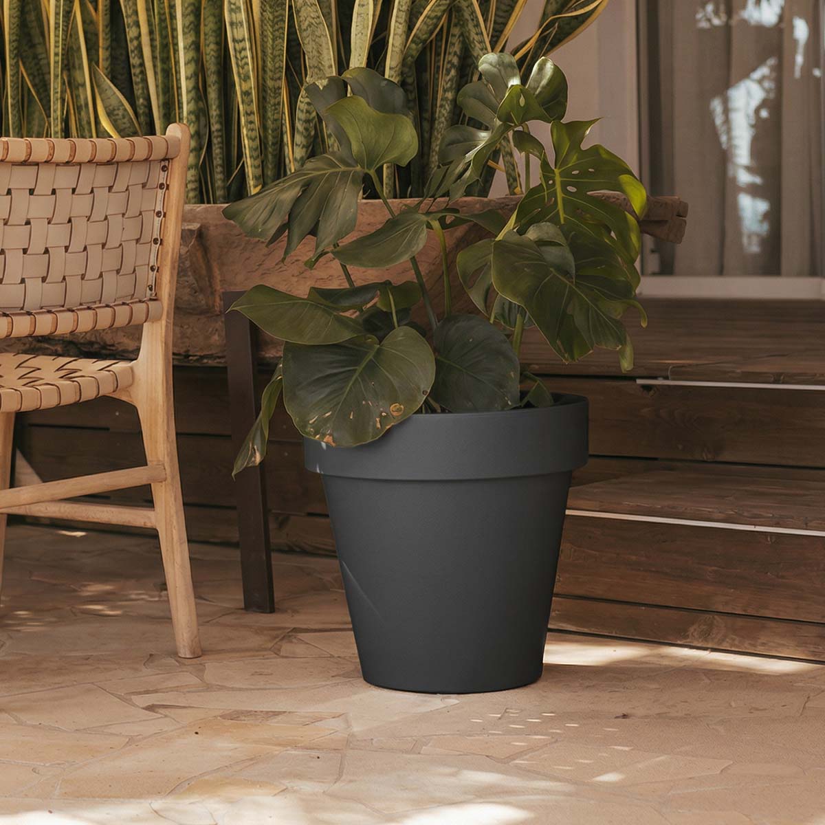 GRAND POT MAGNOLIA 60 - Image 4