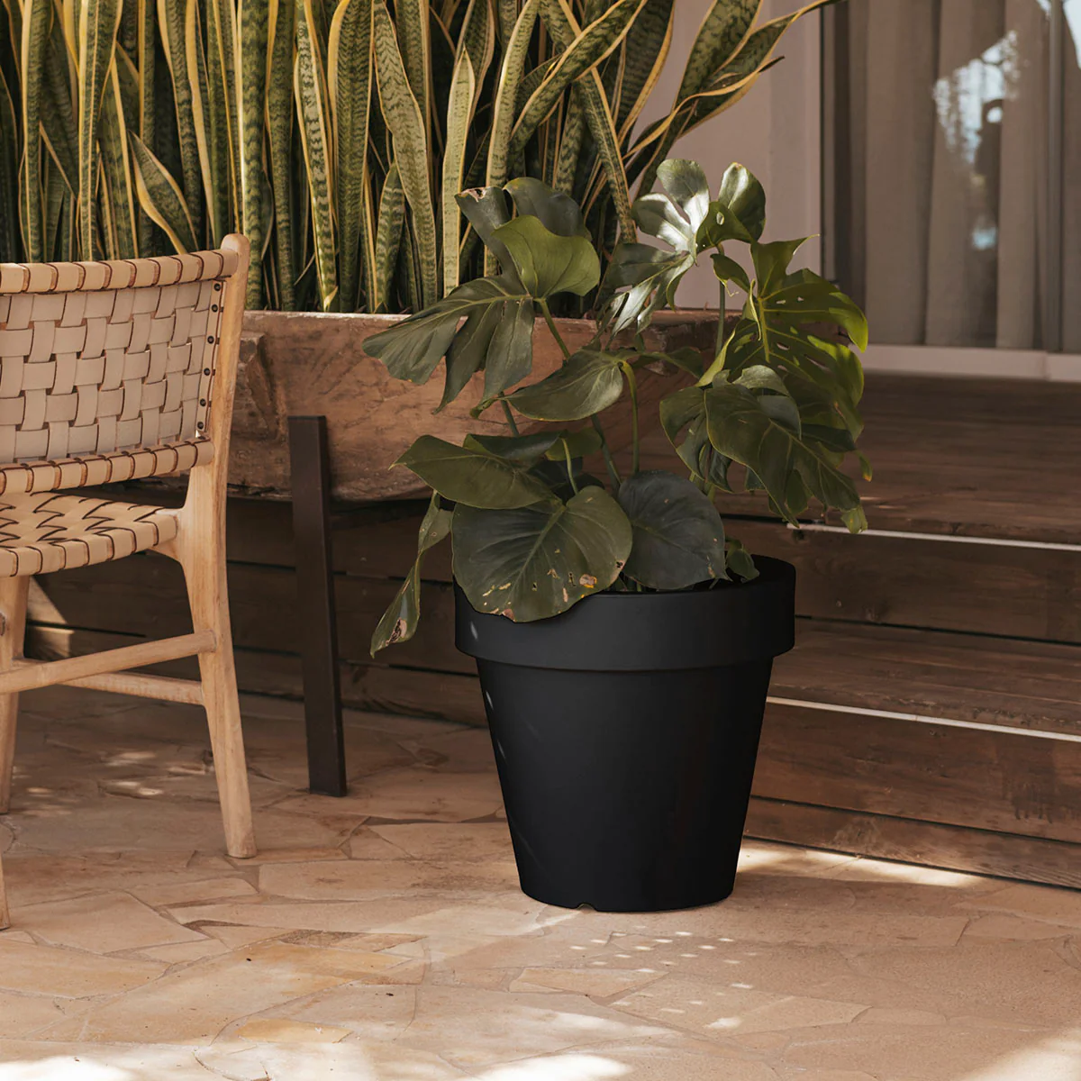 GRAND POT MAGNOLIA 60 - Image 6