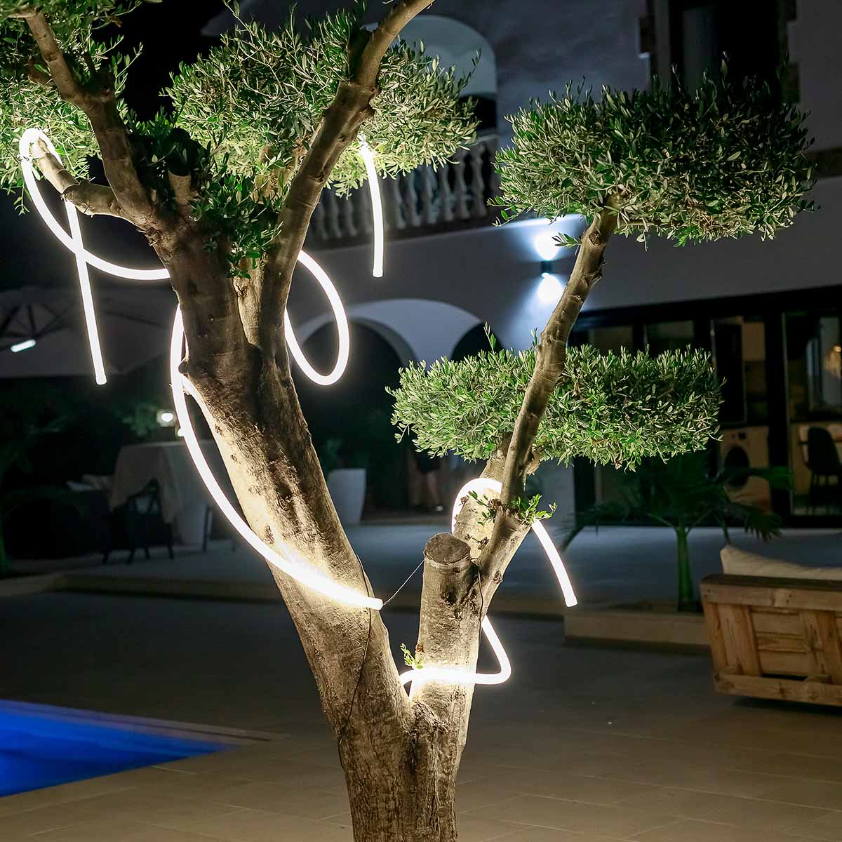 GUIRLANDE LUMINEUSE EXTÉRIEURE NEO - Image 3