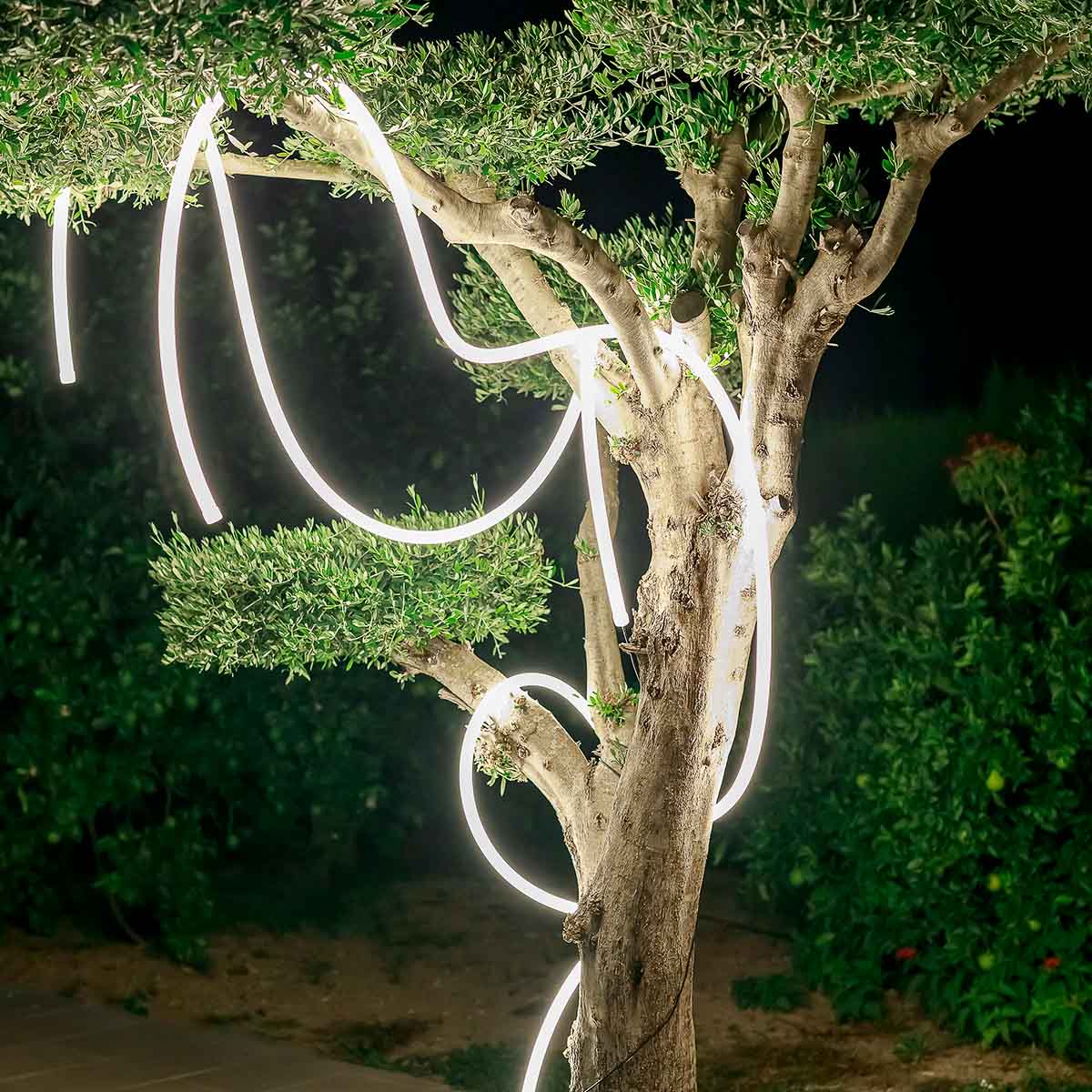 GUIRLANDE LUMINEUSE EXTÉRIEURE NEO - Image 5