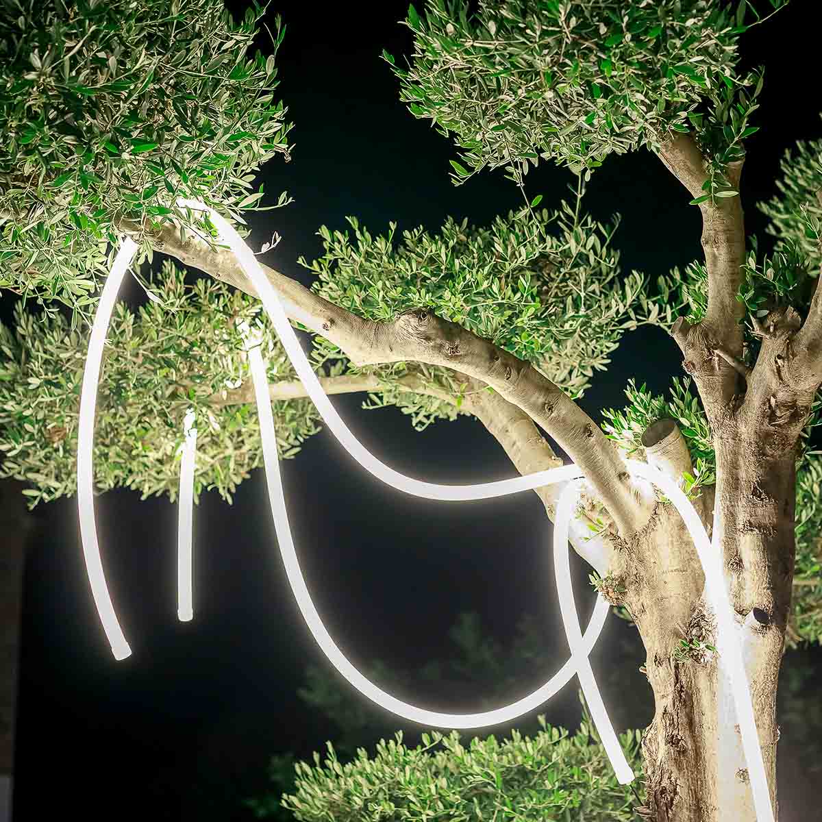 GUIRLANDE LUMINEUSE EXTÉRIEURE NEO - Image 9