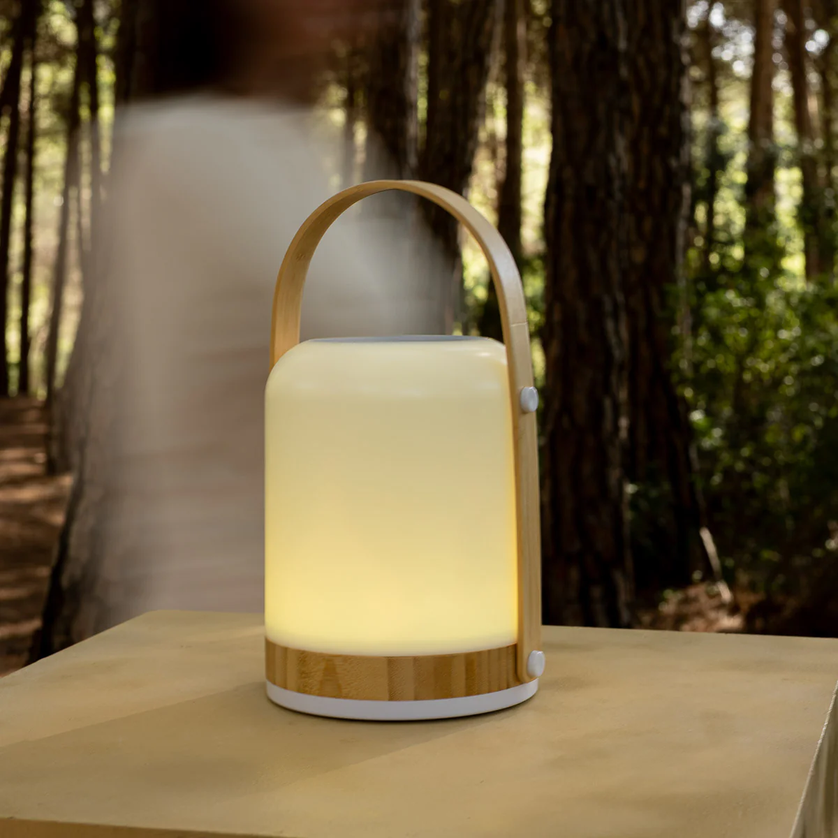 HAUT-PARLEUR PORTABLE FRED
