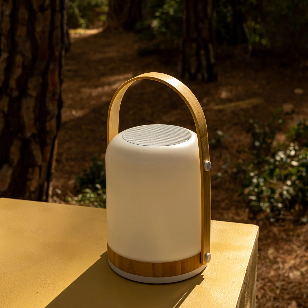 HAUT-PARLEUR PORTABLE FRED - Image 2