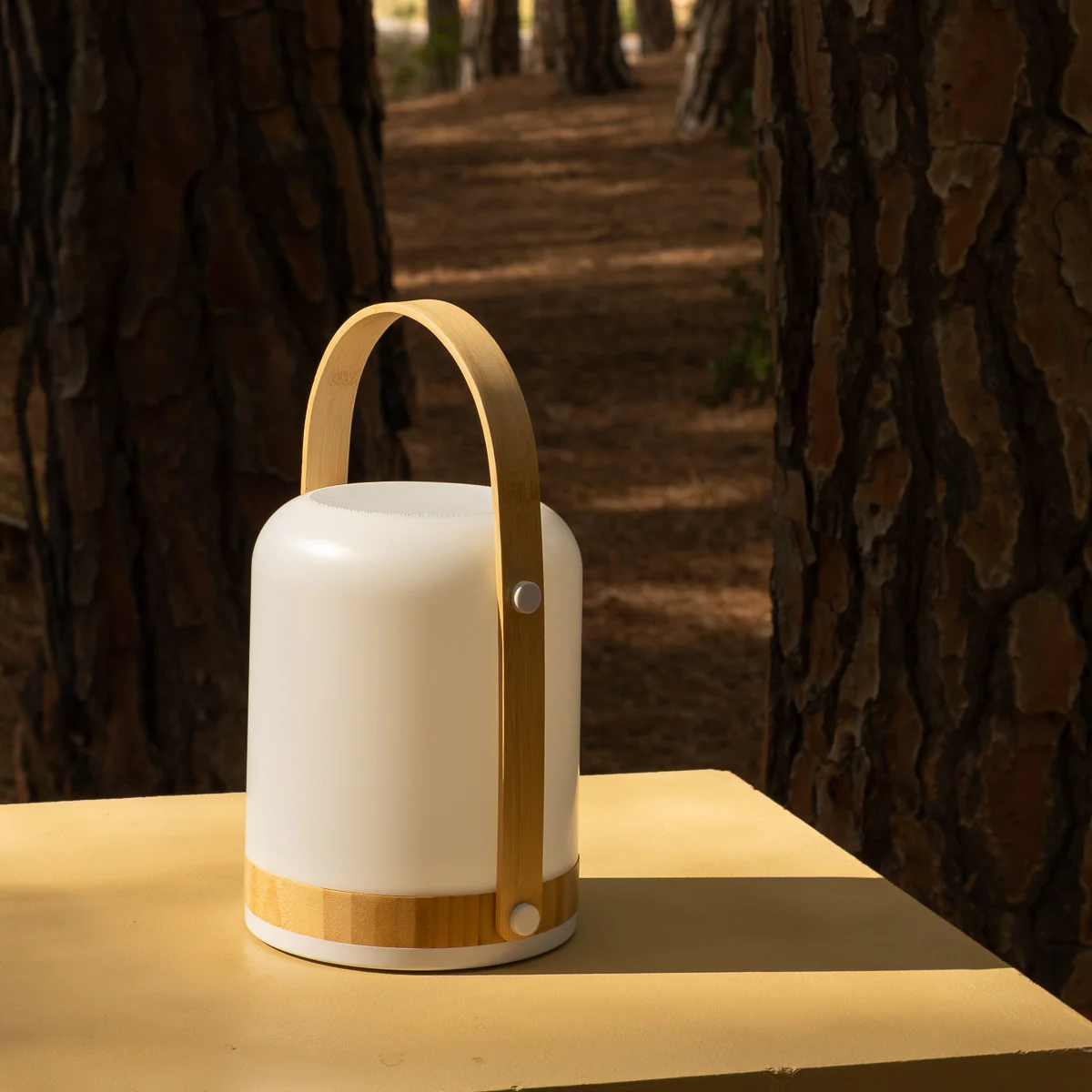 HAUT-PARLEUR PORTABLE FRED - Image 3