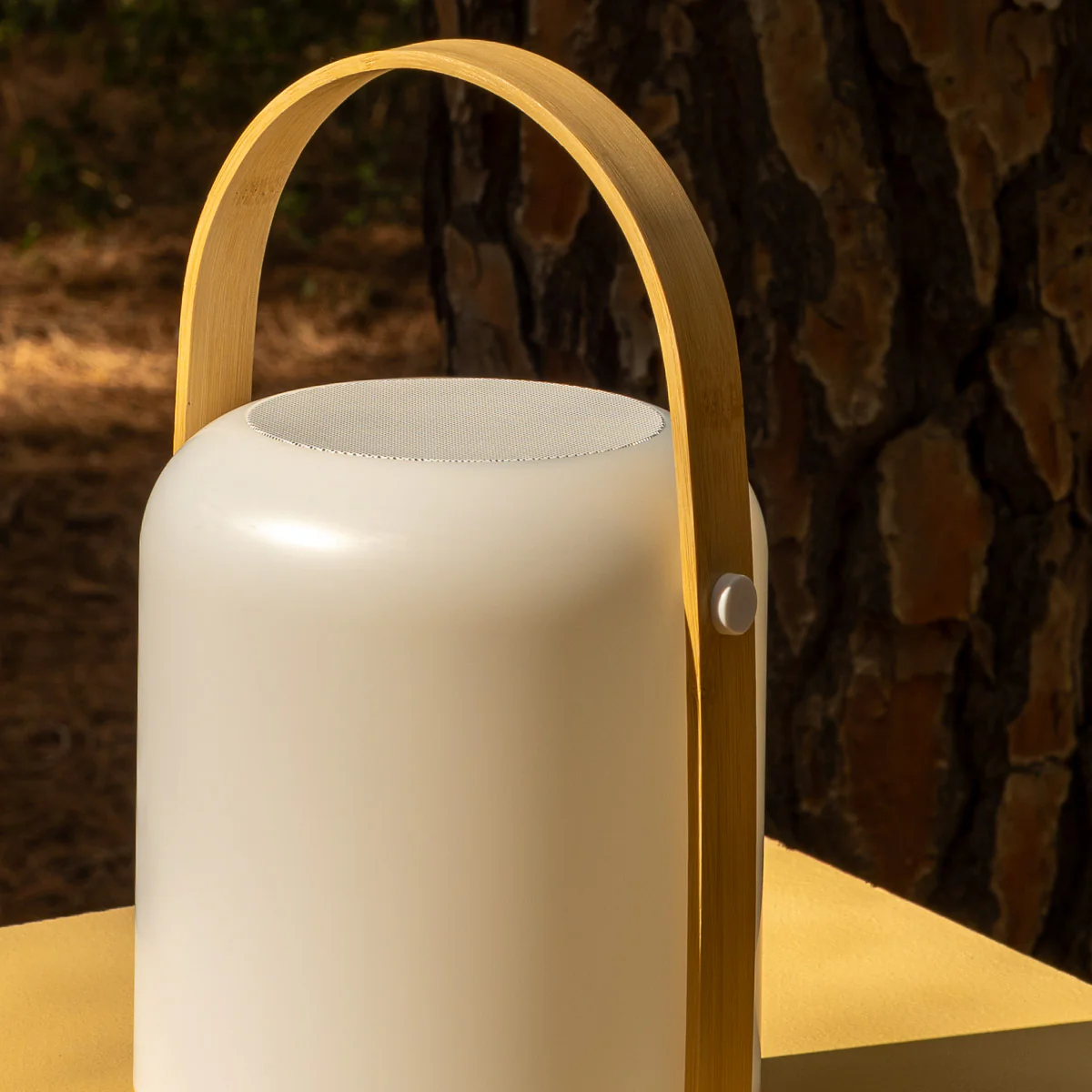 HAUT-PARLEUR PORTABLE FRED - Image 7