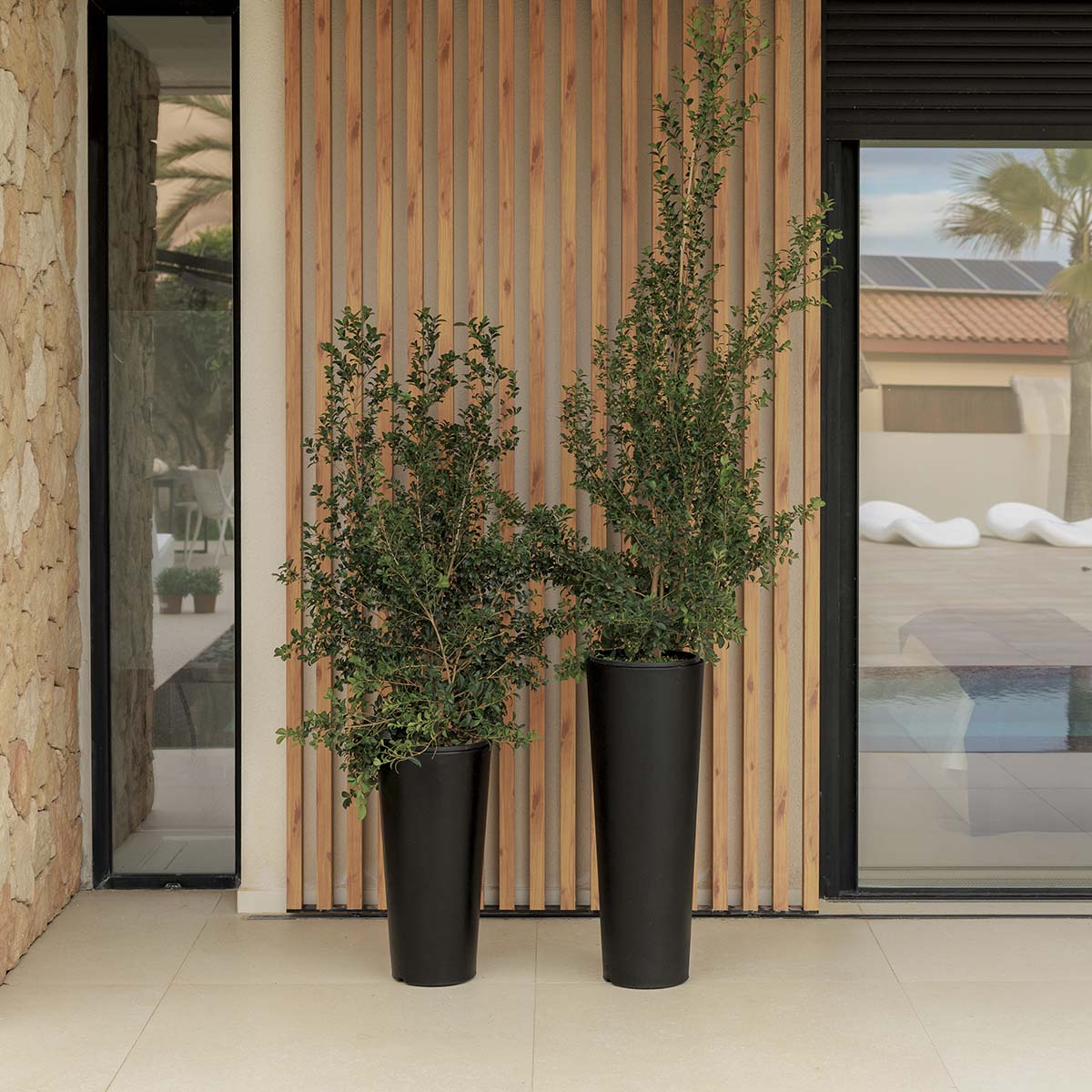 POT DE FLEURS HAUT FICUS 60 - Image 15