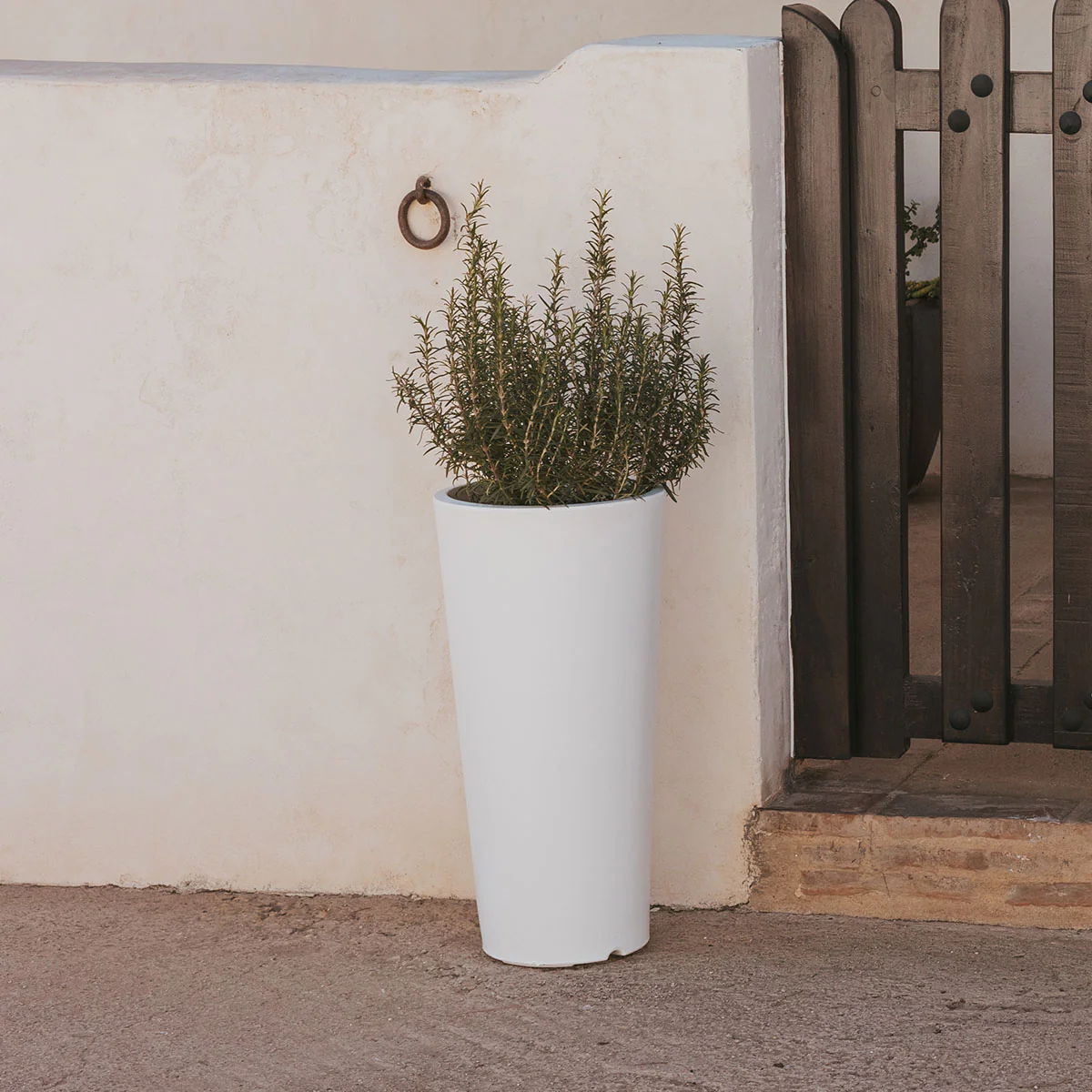 POT DE FLEURS HAUT FICUS 60 - Image 6