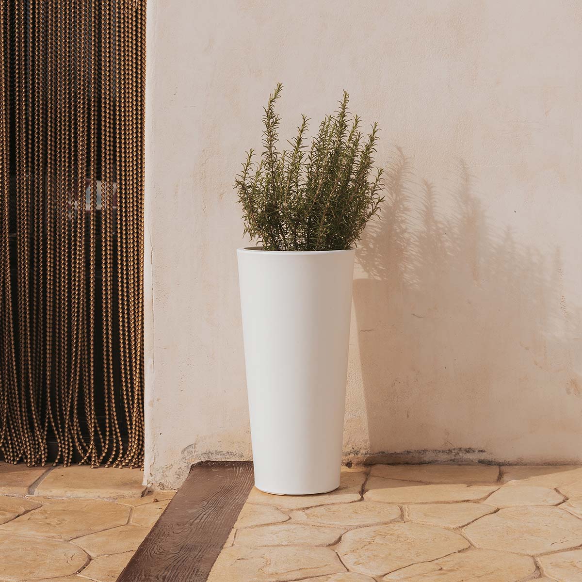 HAUT POT DE FLEURS FICUS 80 - Image 3