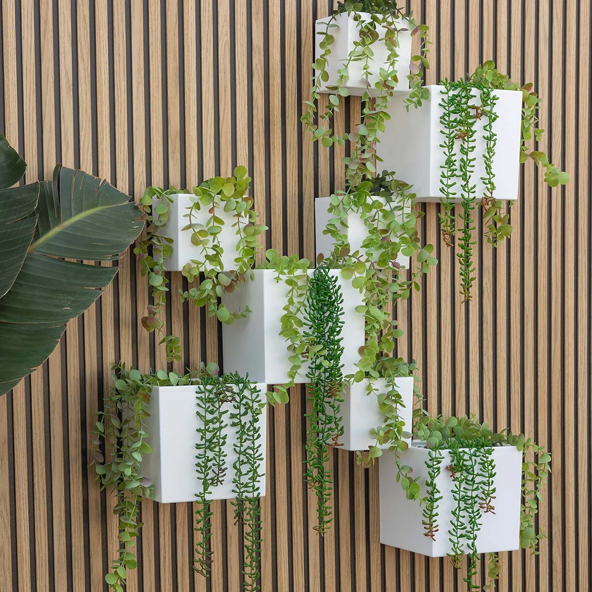 Jardinière murale Wally Pot sans lumière - Image 3