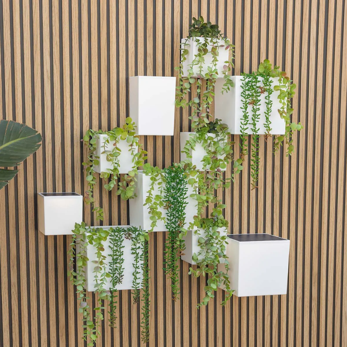 Jardinière murale Wally Pot sans lumière - Image 4
