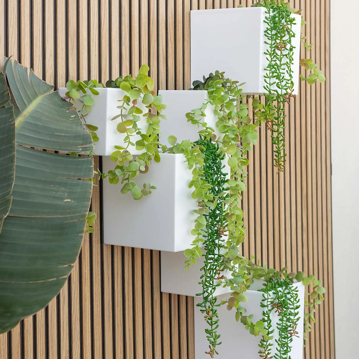 Jardinière murale Wally Pot sans lumière - Image 7