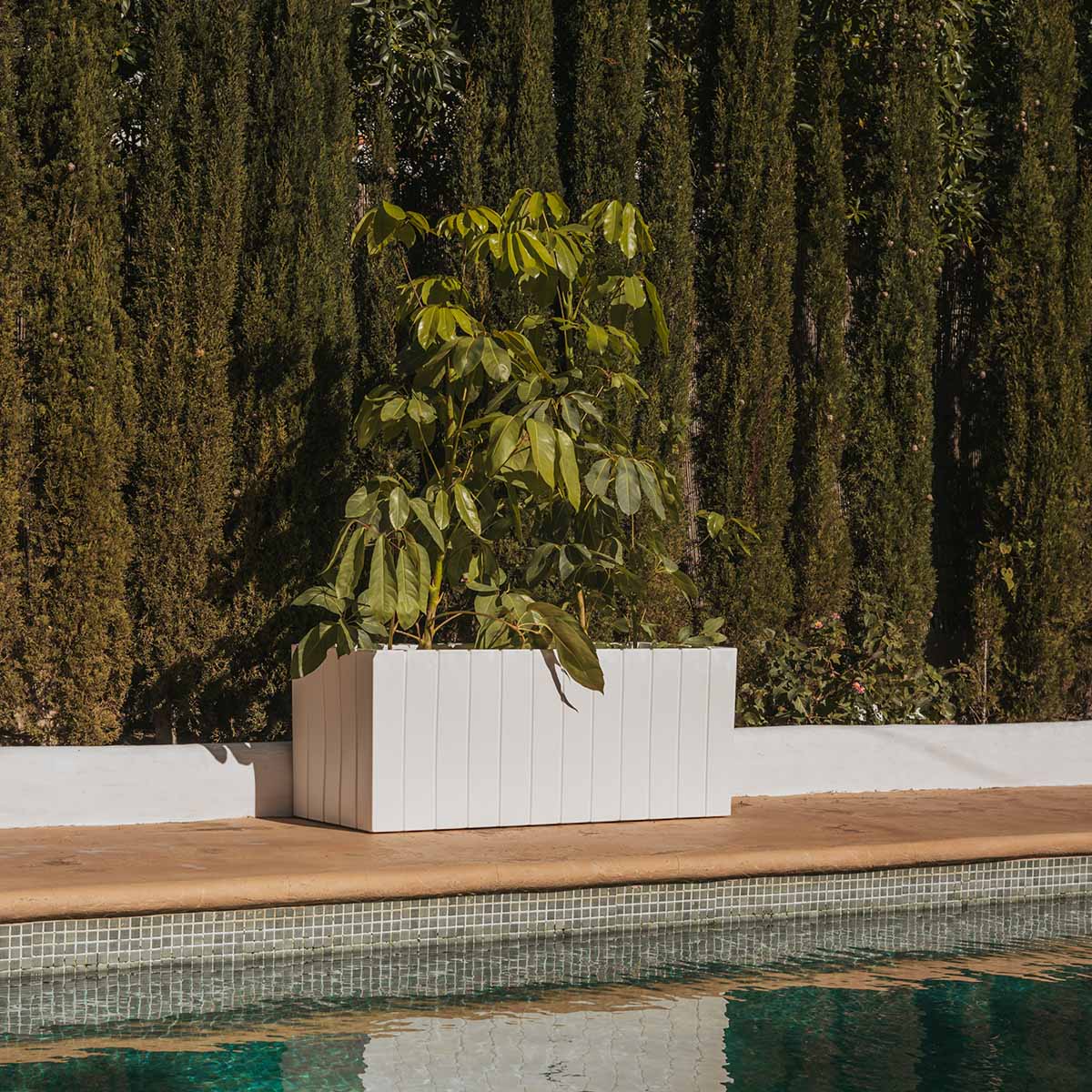 JARDINIÈRE OLIVO LARGE - Image 2