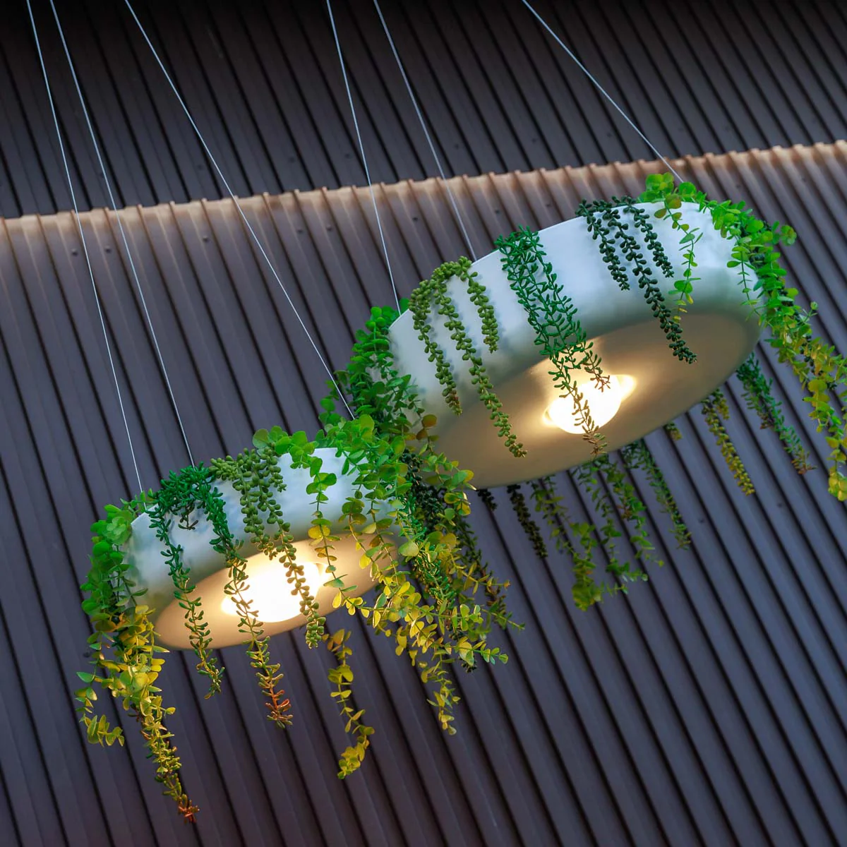 Jardinière ronde suspendue avec éclairage sans fil ELBA 59 - Image 3