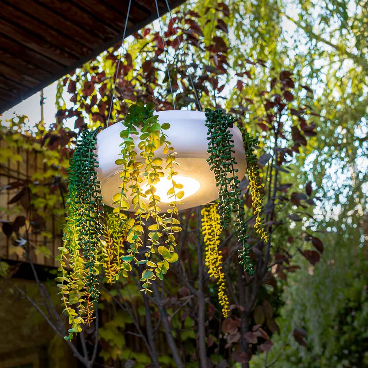 Jardinière ronde suspendue avec éclairage sans fil ELBA 59 - Image 5