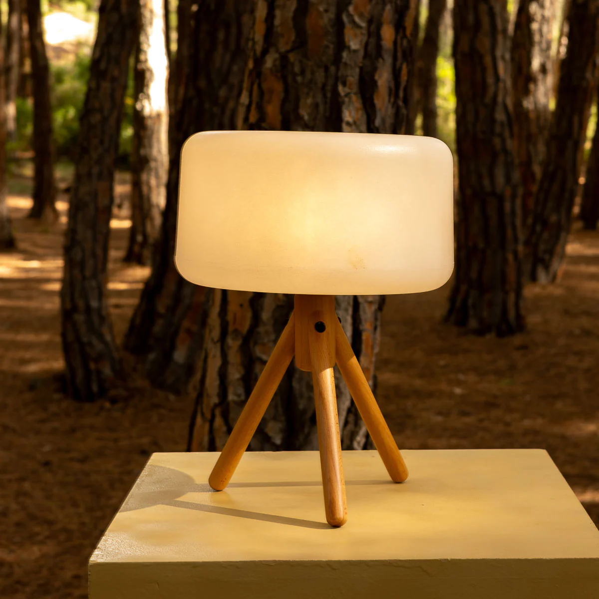 LAMPE DE TABLE CHLOE 35 - Image 3