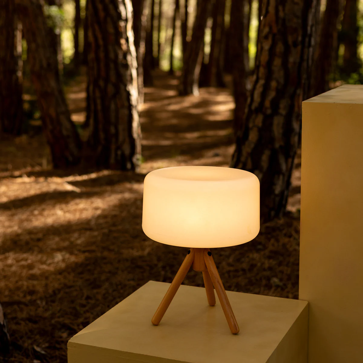 LAMPE DE TABLE CHLOE 35 - Image 6