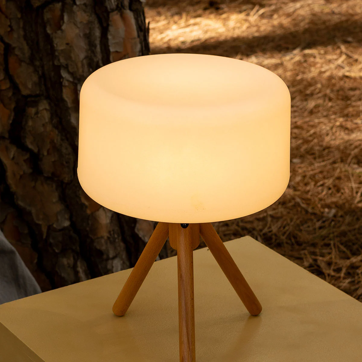 LAMPE DE TABLE CHLOE 35 | USAGE INTÉRIEUR - Image 3