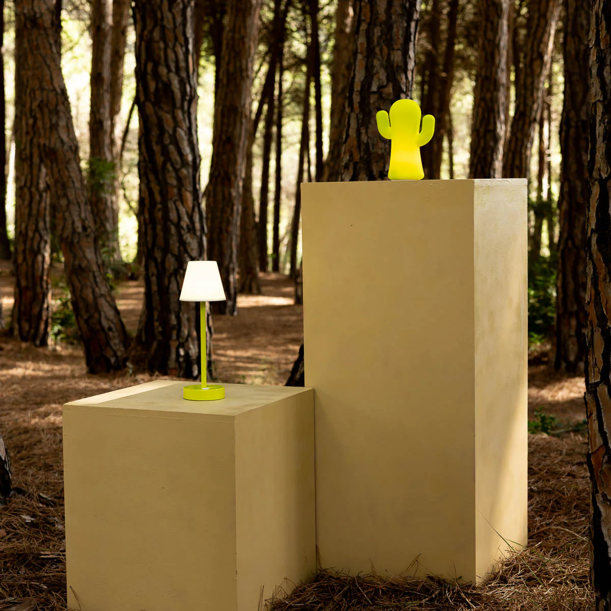 CACTUS LUMINEUX EN SILICONE PANCHITO VERT CITRON - Image 9