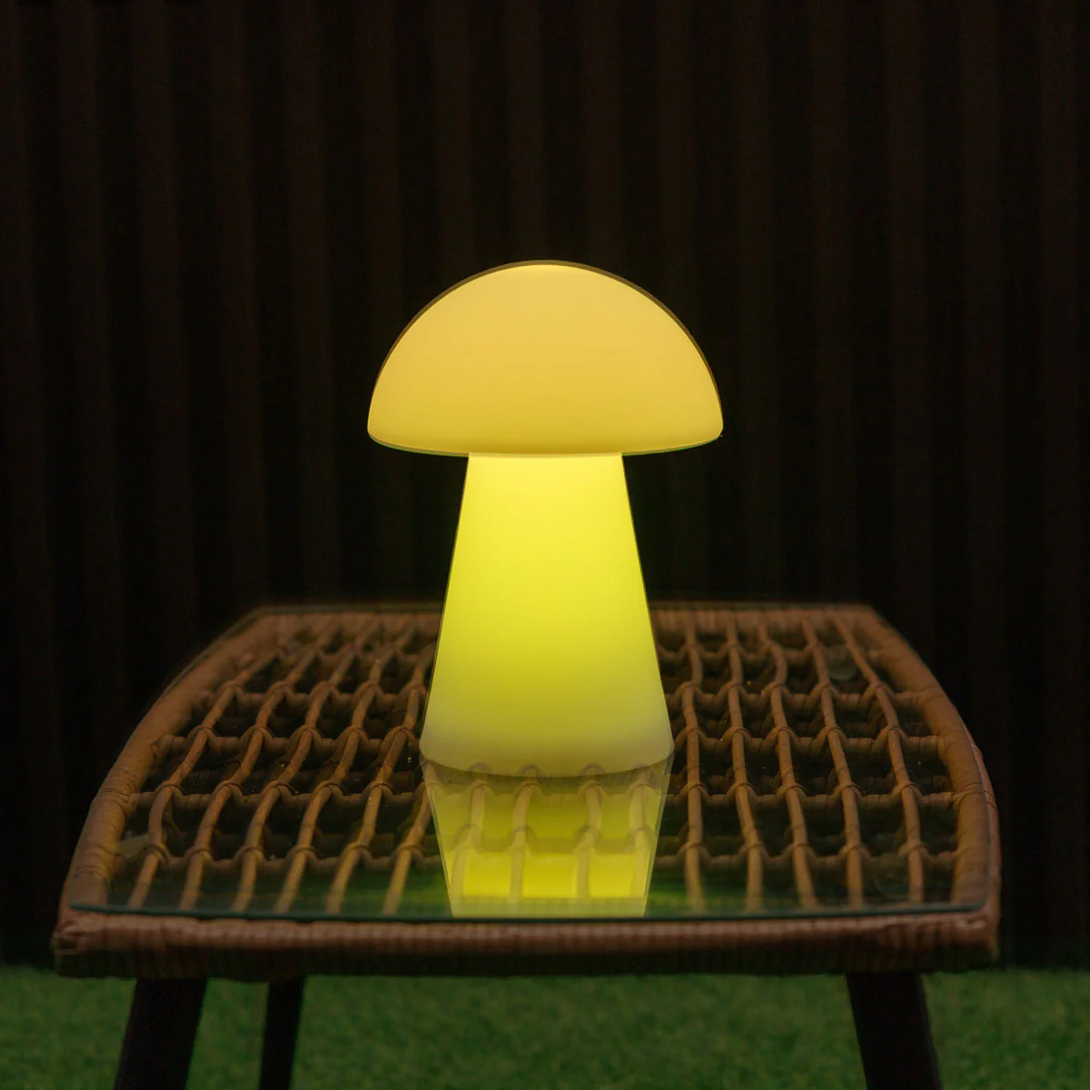 Miniature 1