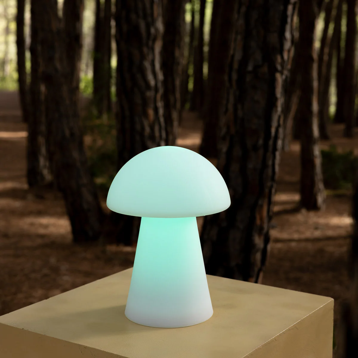 LAMPE DE TABLE MAFALDA - Image 10
