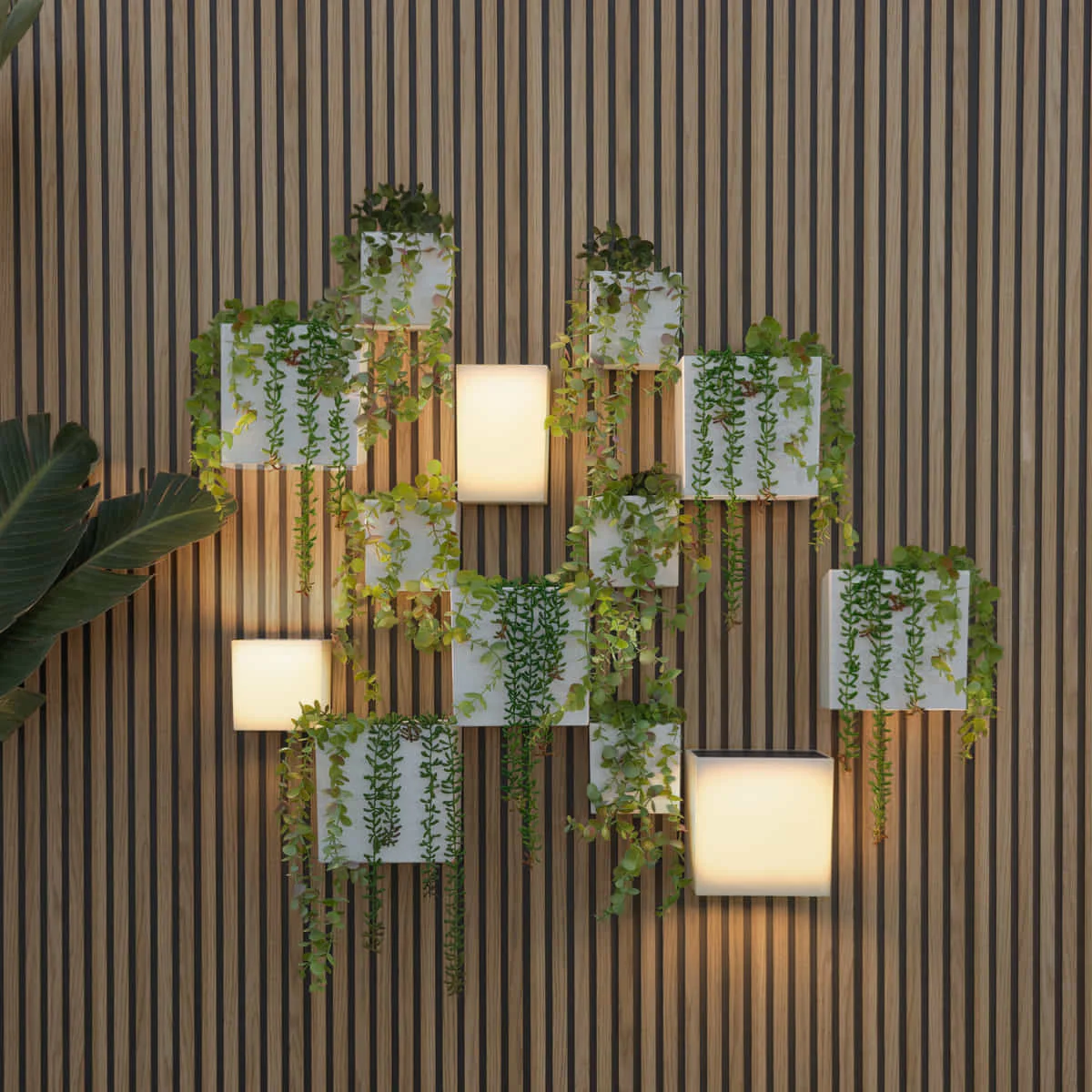 Pack Appliques Murales Solaires WALLY + Pots Muraux | Éclairage et Jardin Vertical Durable