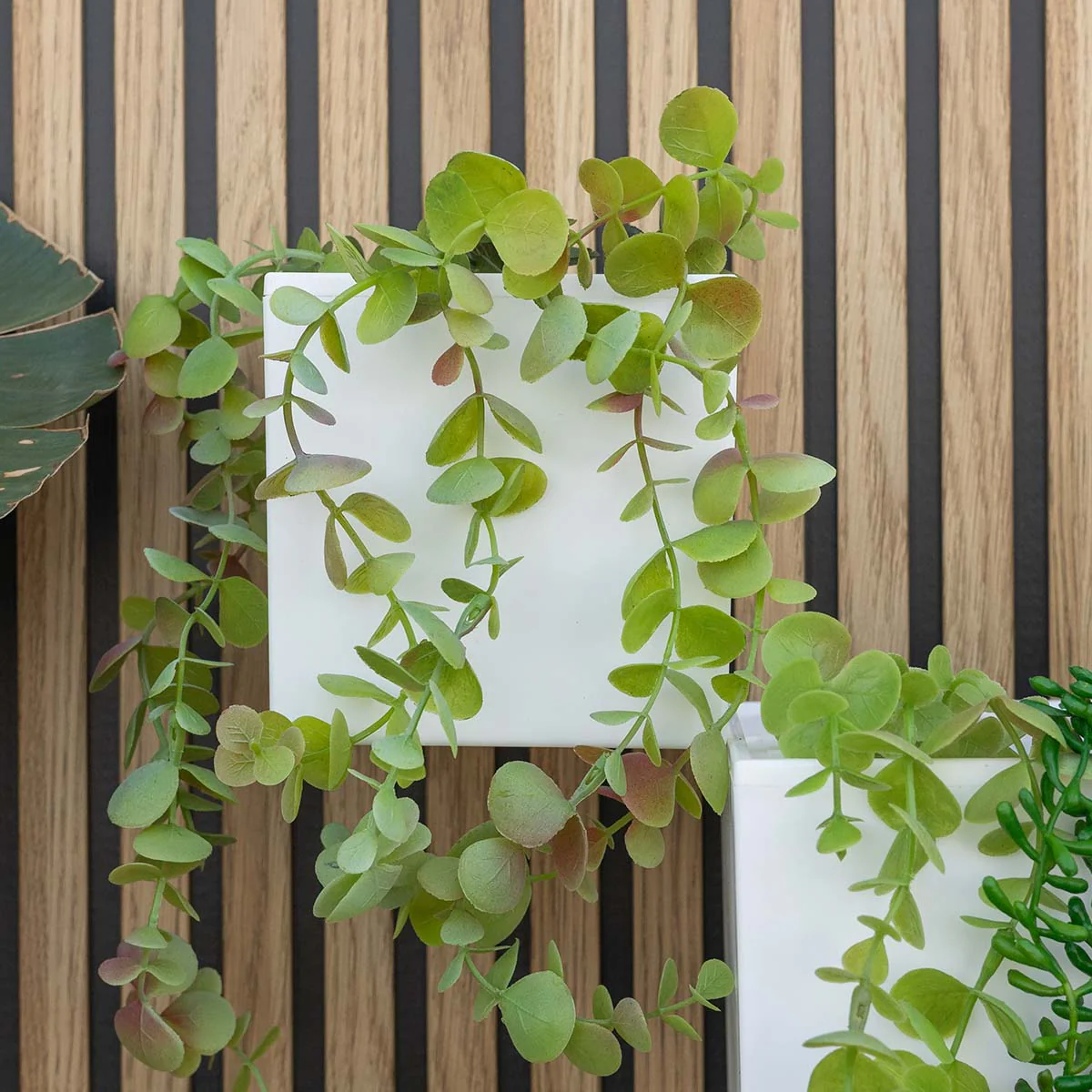 Jardinière murale Wally Pot sans lumière - Image 5