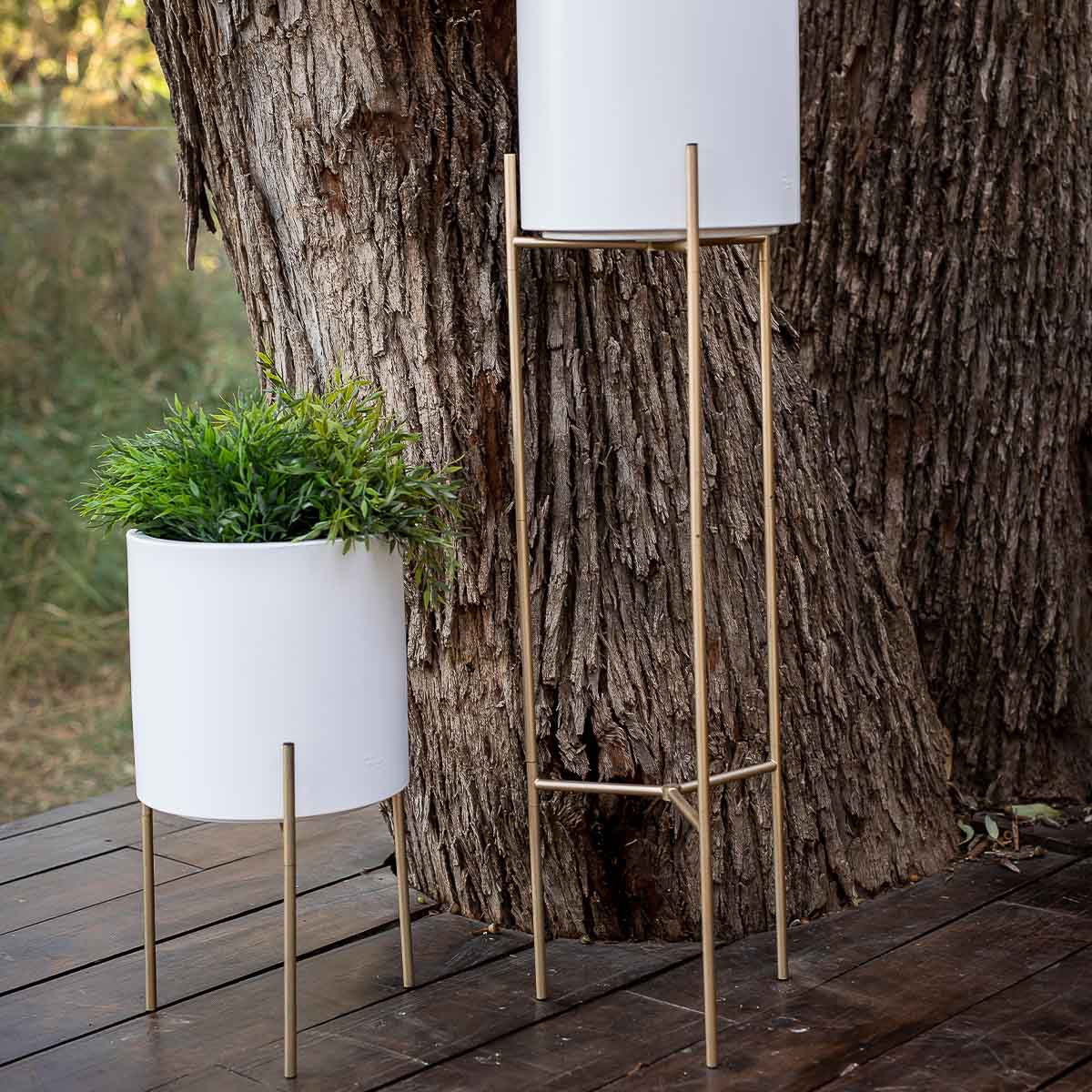 PORTE PLANTE LIFT + HORTENSIA 30 BLANC