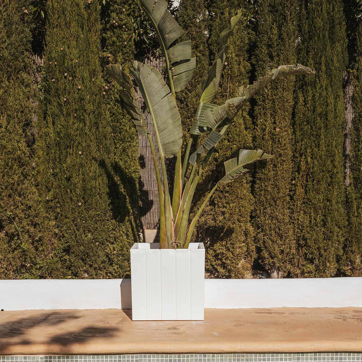 POT DE FLEUR CARRÉ OLIVO 50 - Image 2