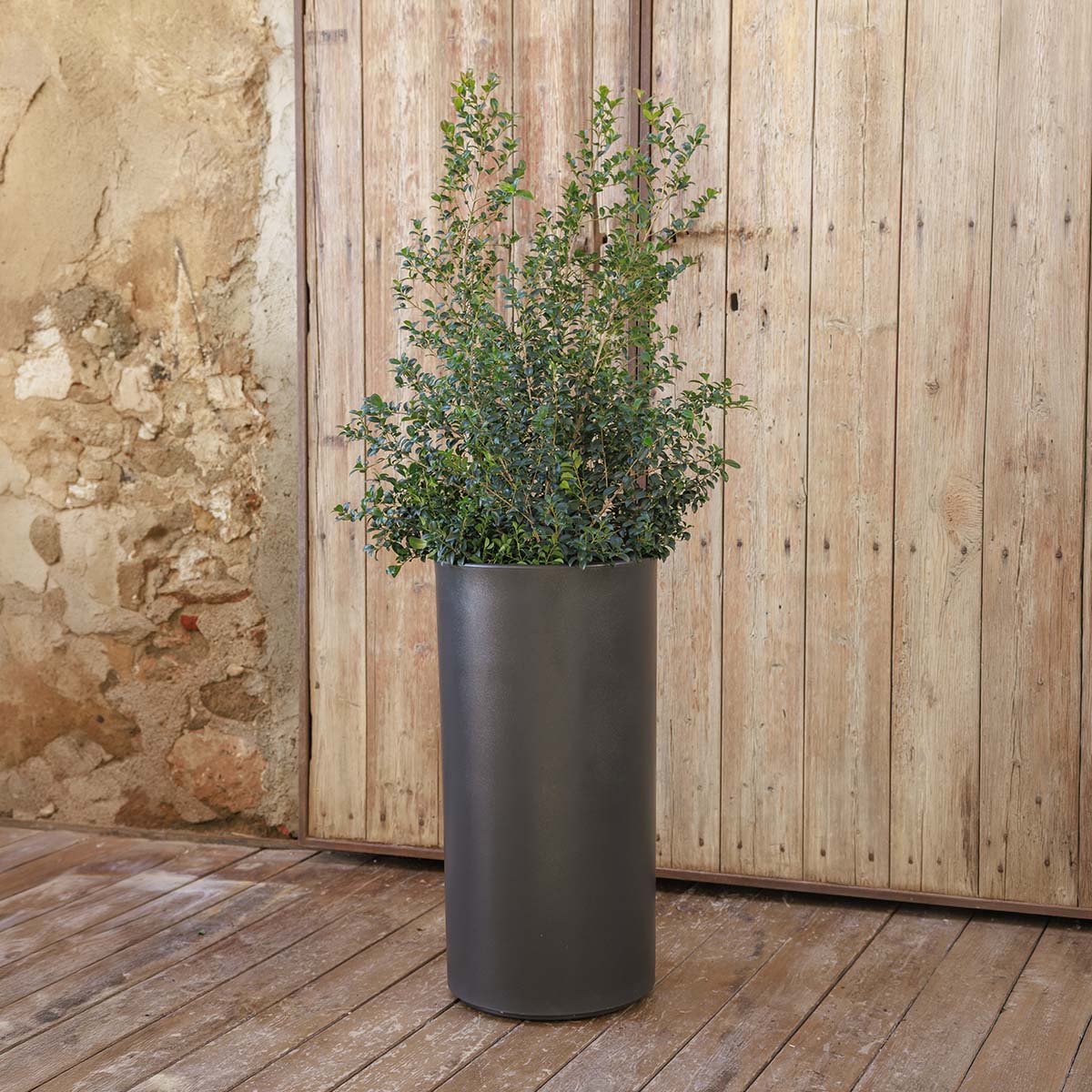 POT DE FLEURS HORTENSIA 40 HIGH - Image 10