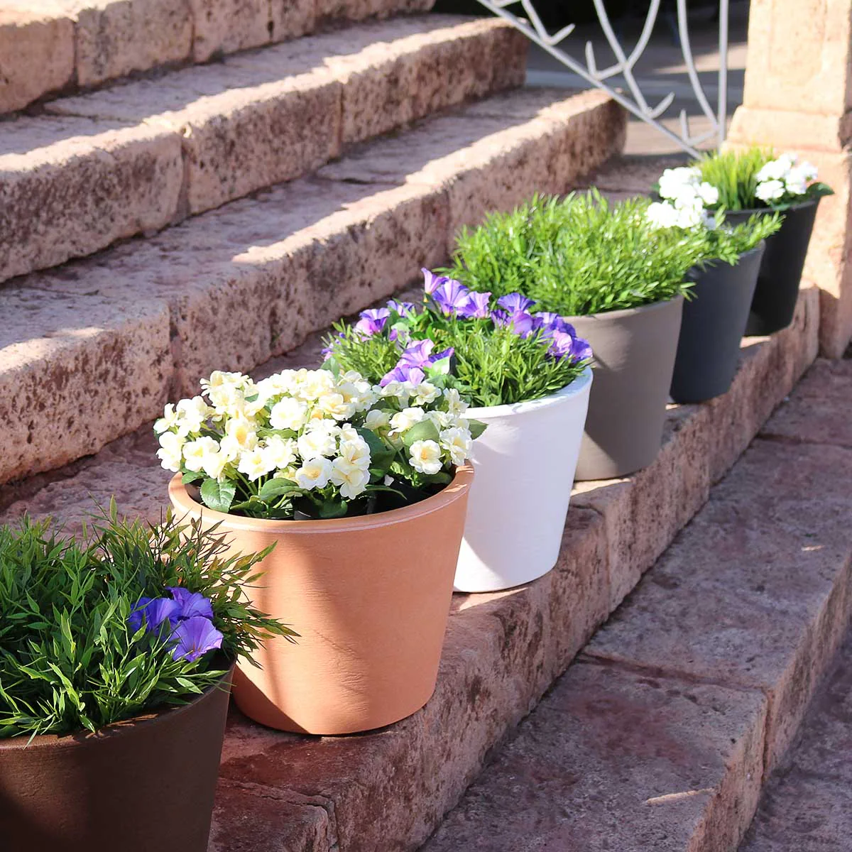 POT DE FLEURS PETUNIA - Image 10