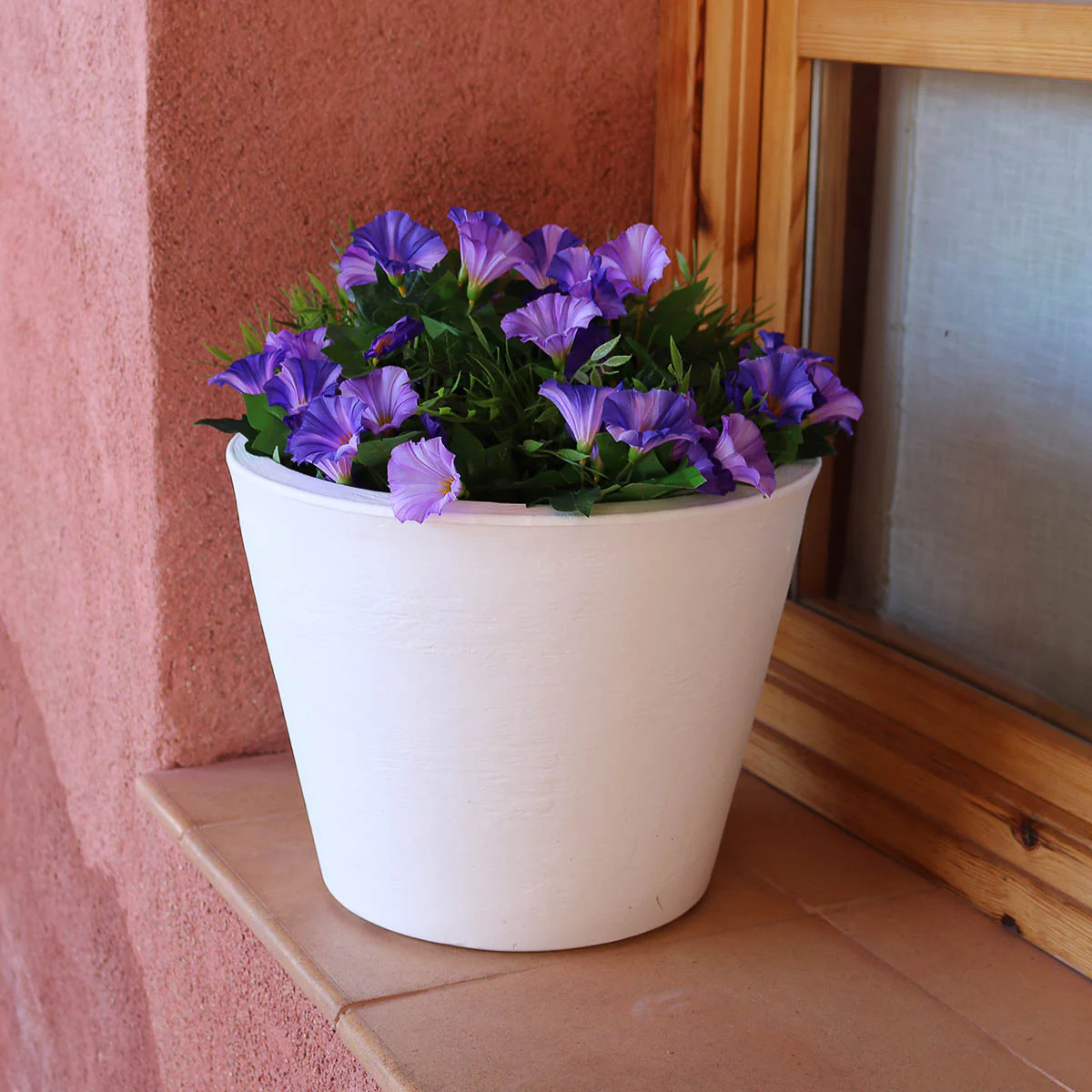 POT DE FLEURS PETUNIA - Image 12