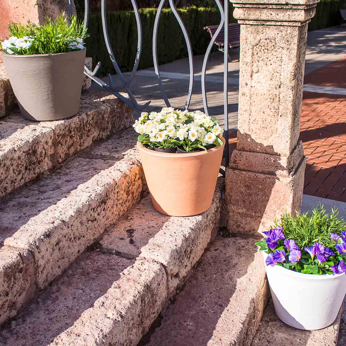 POT DE FLEURS PETUNIA - Image 15