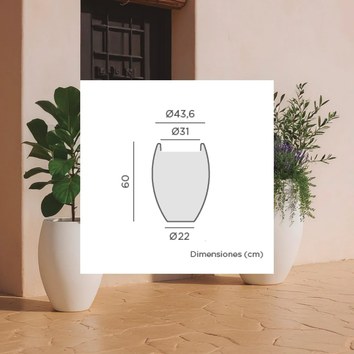POT DE FLEURS ROND ALOE 45 - Image 12