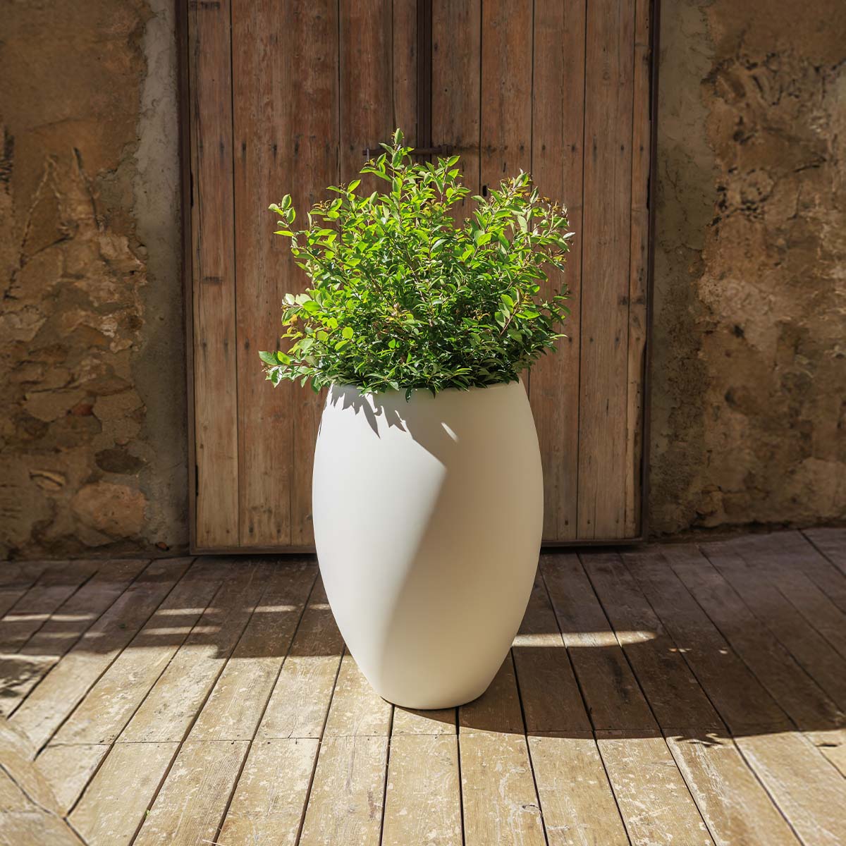 POT DE FLEURS ROND ALOE 45 - Image 16