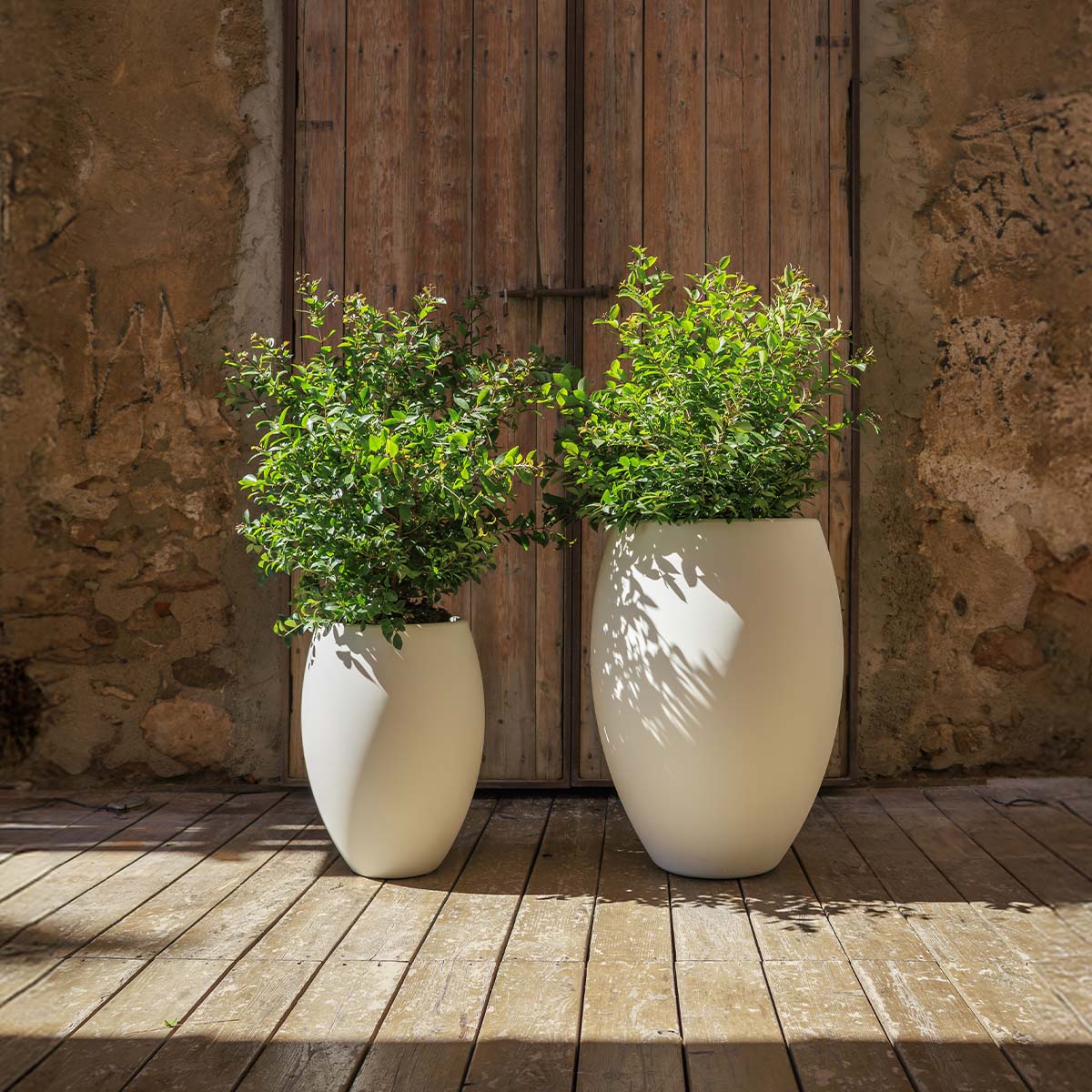 POT DE FLEURS ROND ALOE 45 - Image 4