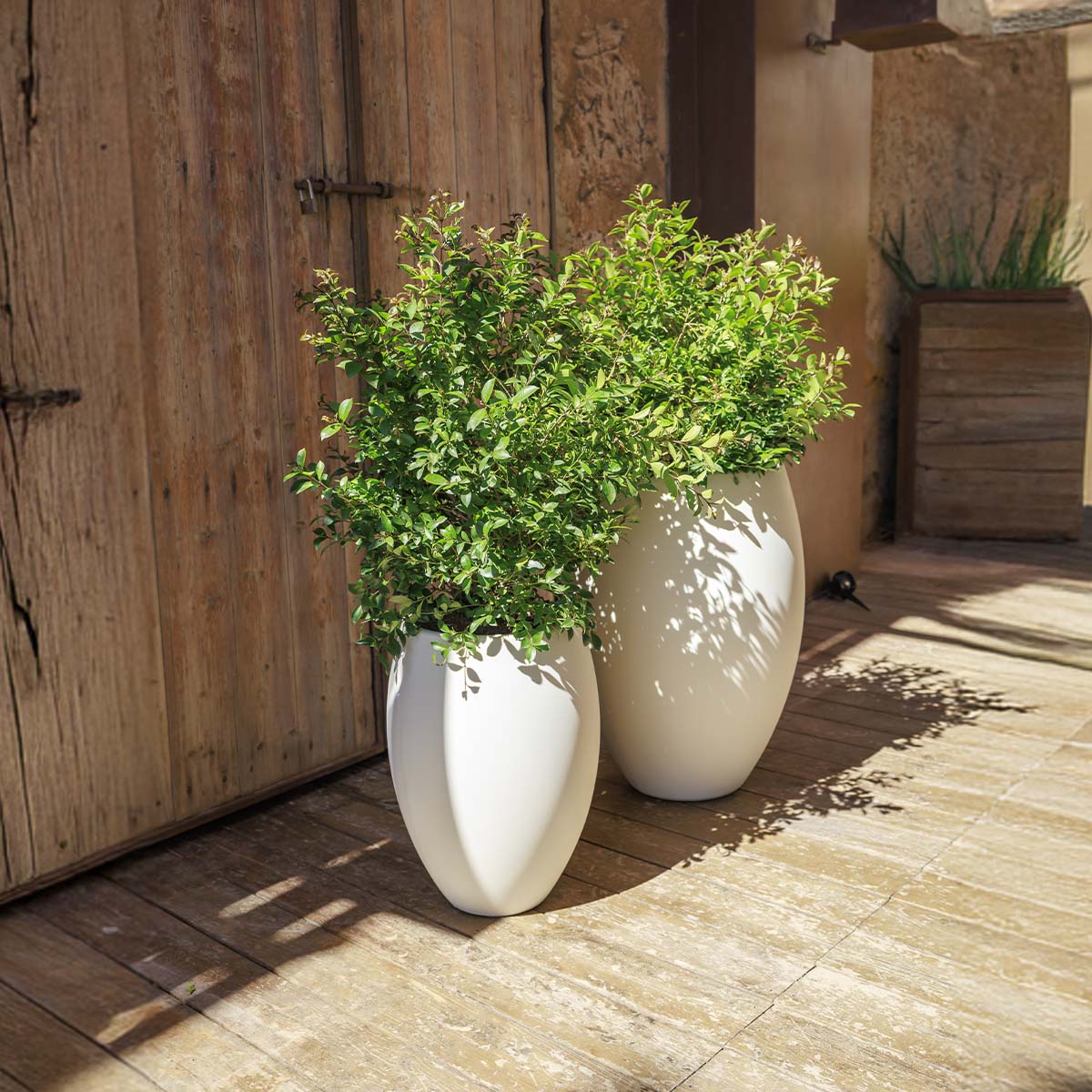 POT DE FLEURS ROND ALOE 45 - Image 6