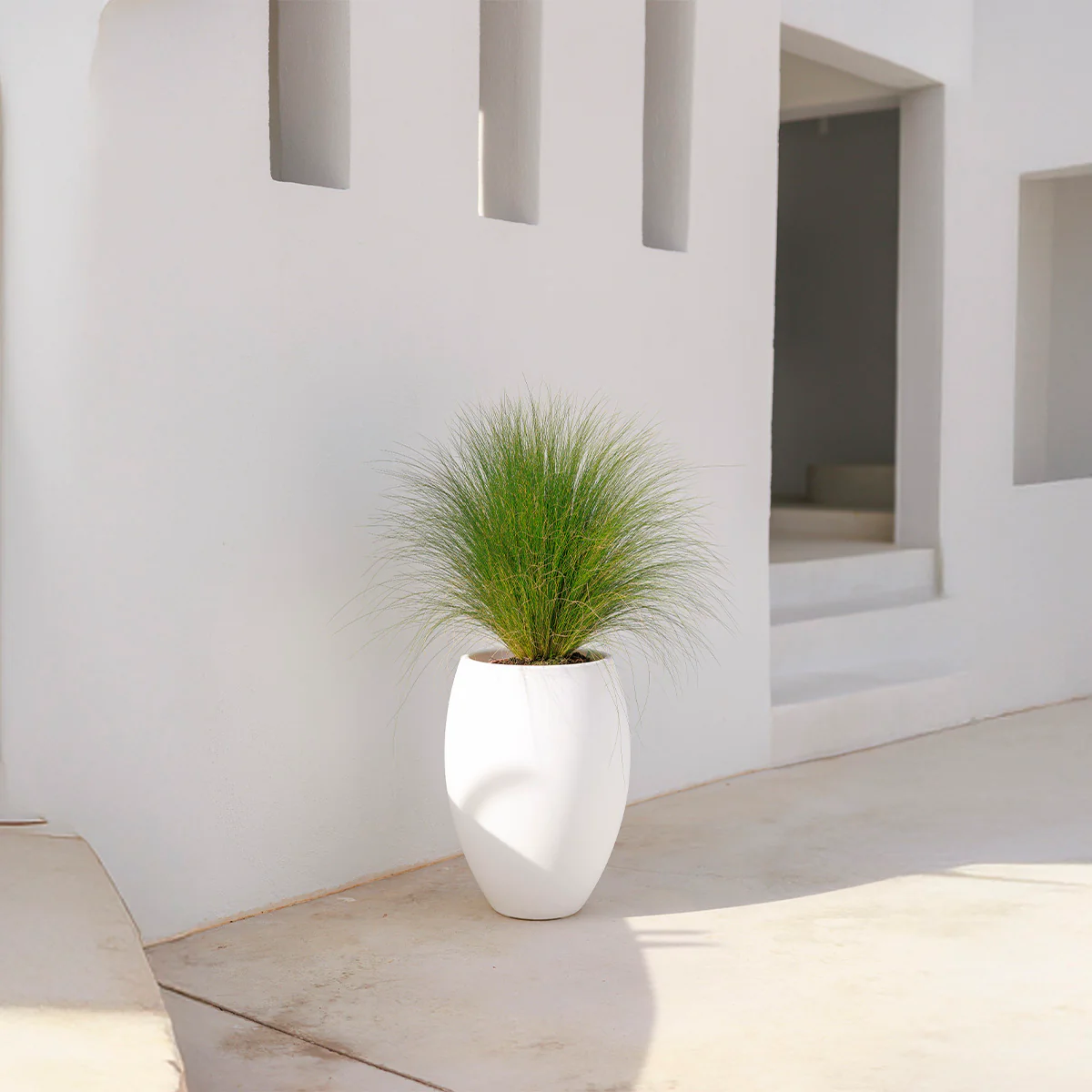 POT DE FLEURS ROND ALOE 45 - Image 7