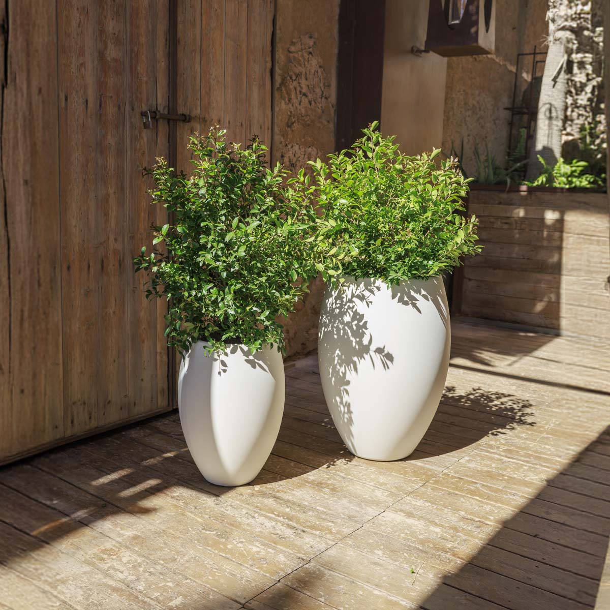 POT DE FLEURS ROND ALOE 45 - Image 9